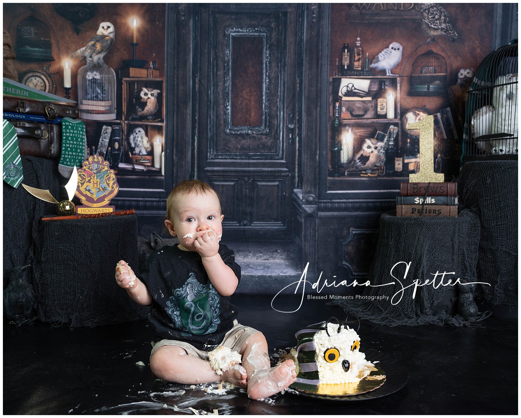 Halloween Backdrop Magical Wizard Shop Window Halloween Photo Backdrop MRR10-23