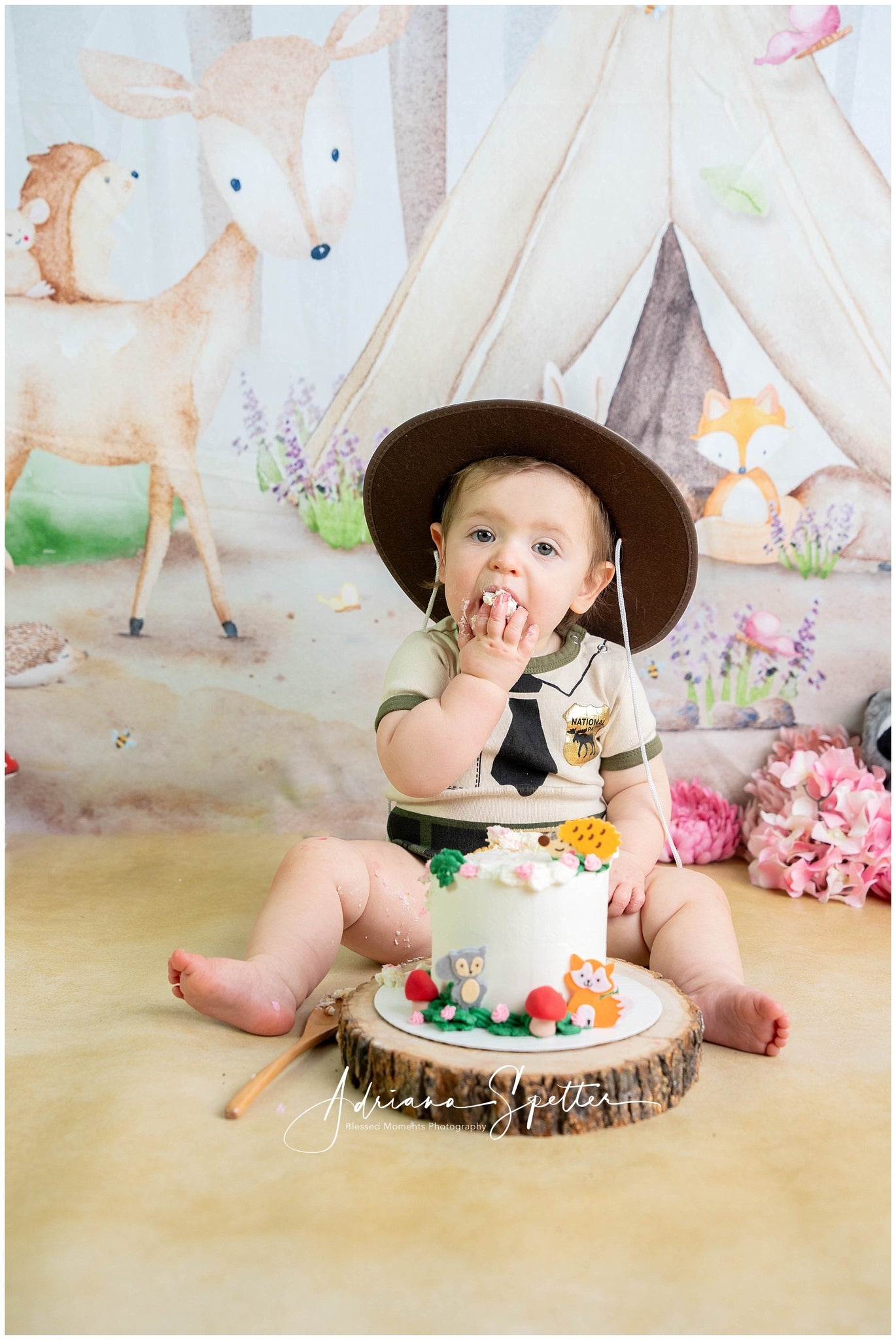 Forest Backdrop Animals Tent Trees Newborn Photography Backdrop MRR10-29