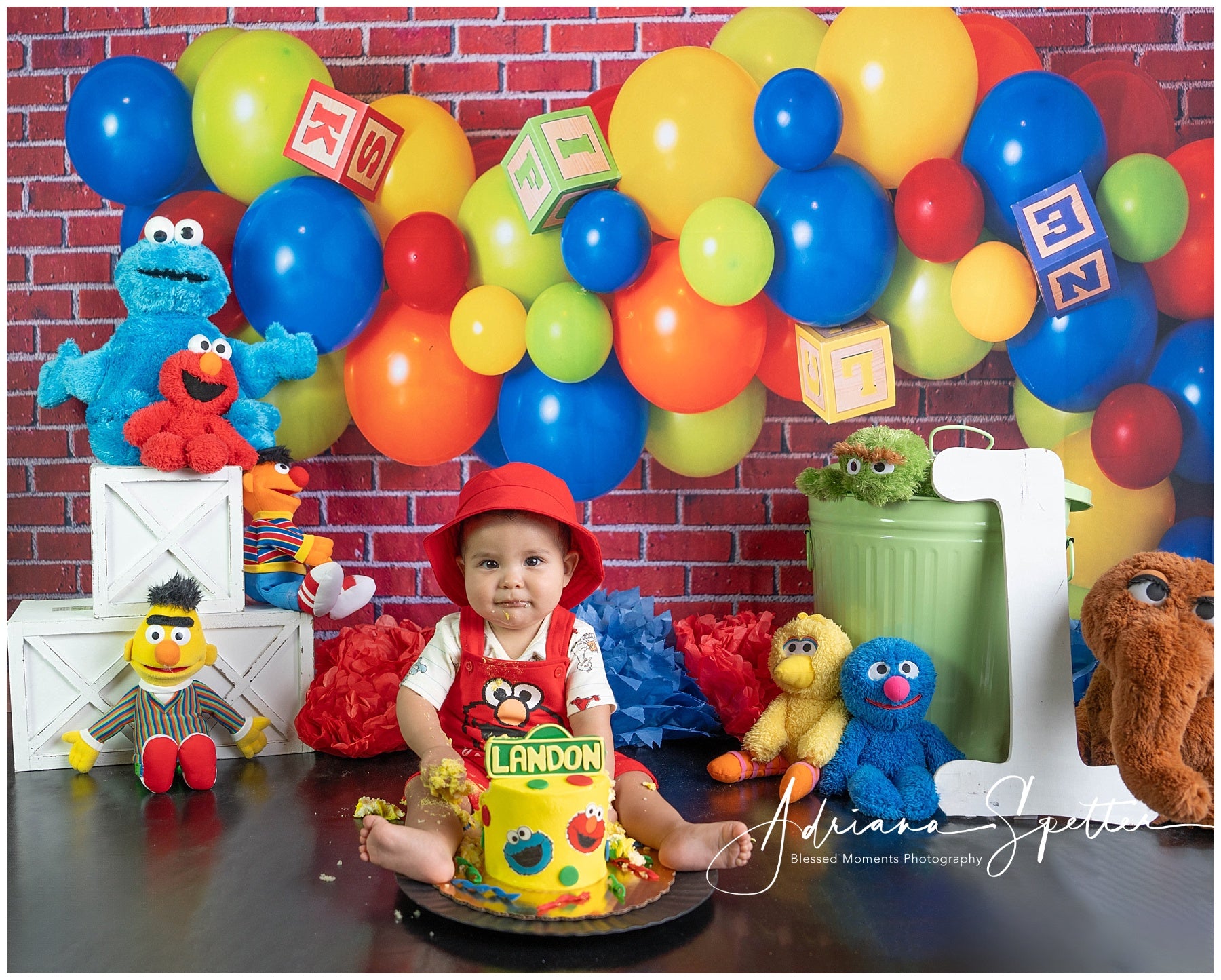 Birthday Photo Backdrop Colorful Balloons Blocks Cake Smash Backdrop MRR10-26