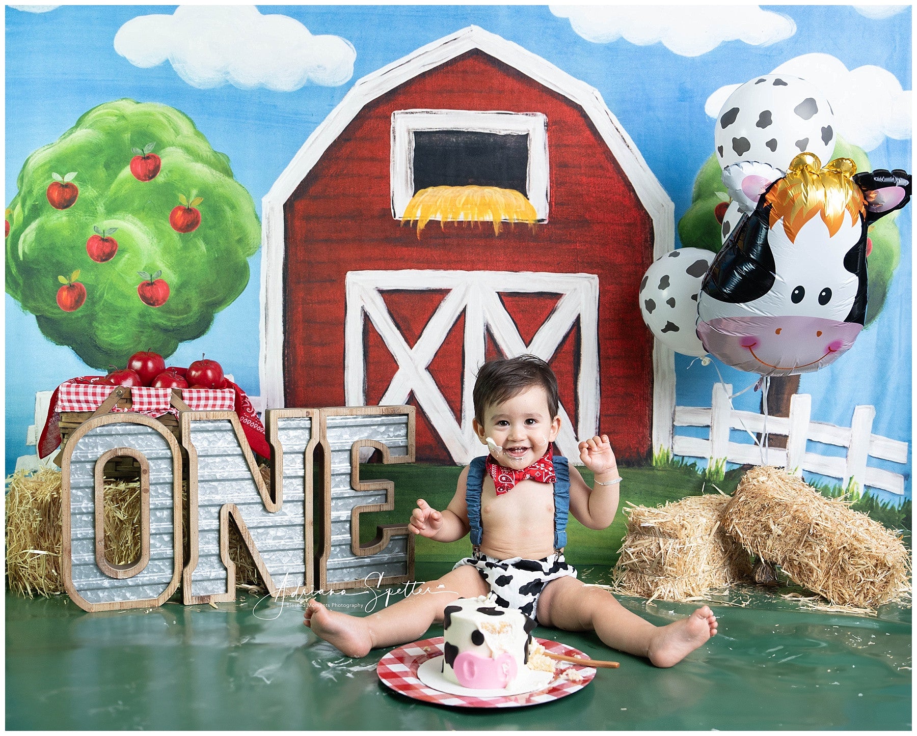 Cake Smash Backdrops Red Barn Apple Trees Birthday Photo Backdrop MRR10-17