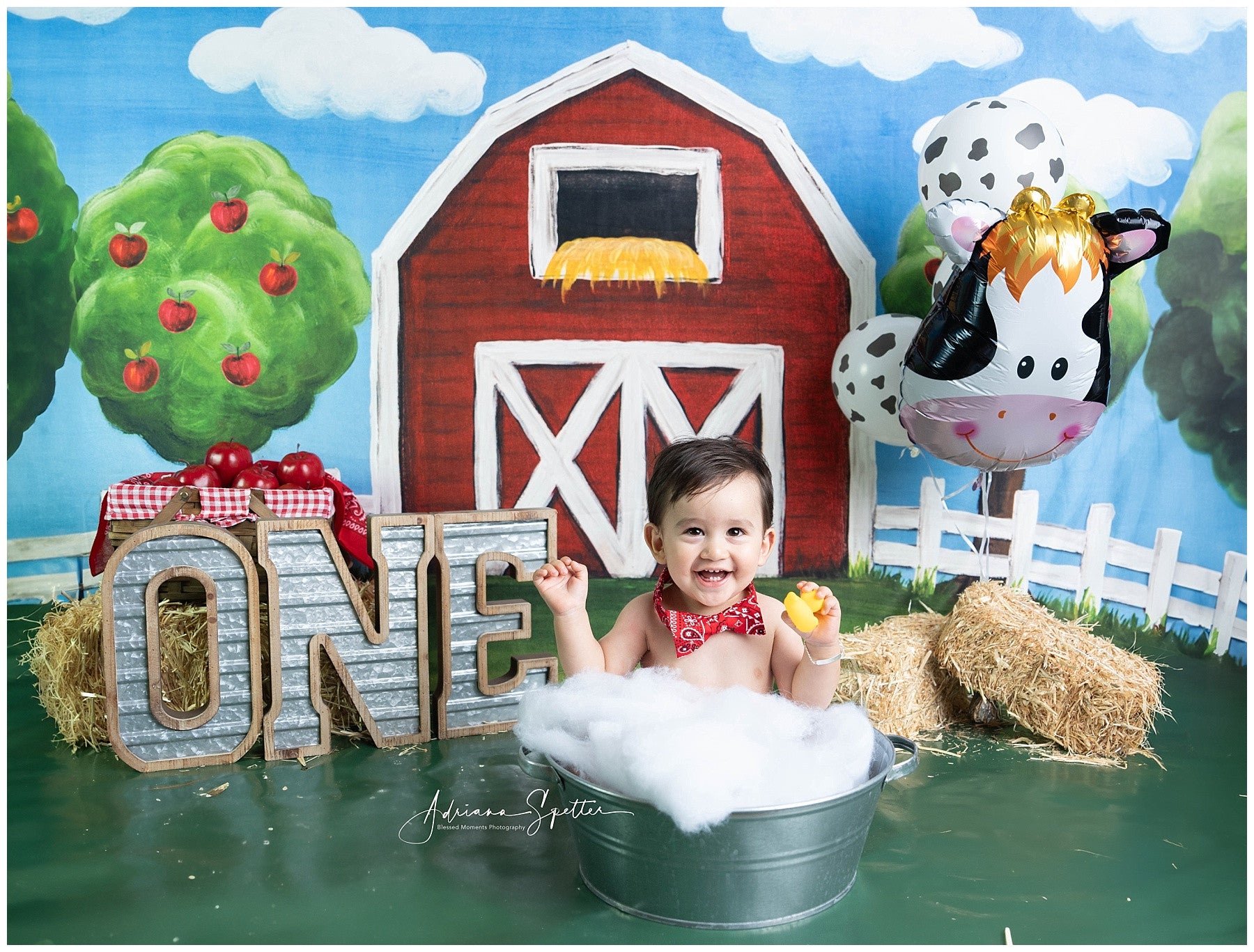 Cake Smash Backdrops Red Barn Apple Trees Birthday Photo Backdrop MRR10-17
