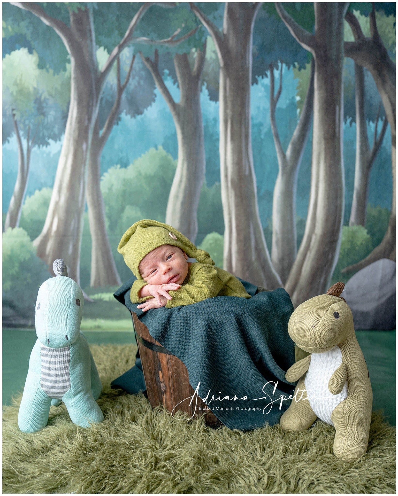 Newborn Backdrop Enchanted Forest Trees Kids Photo Backdrop MRR10-24