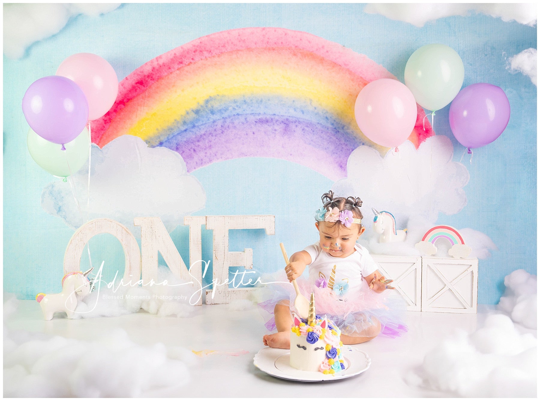 Smash Cake Backdrop Colorful Rainbow Sky Birthday Backdrops MRR10-18