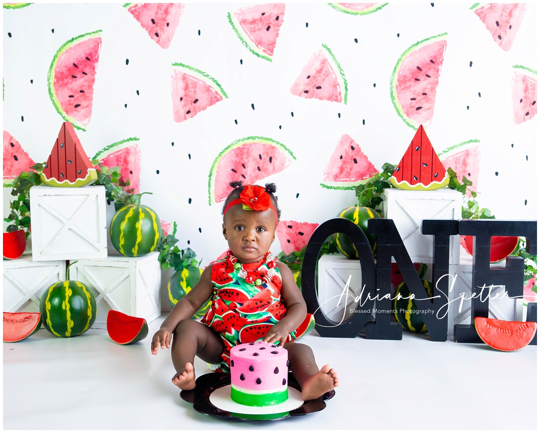 Cake Smash Backdrop Watermelon Pattern Summer Birthday Backdrop MRR10-19