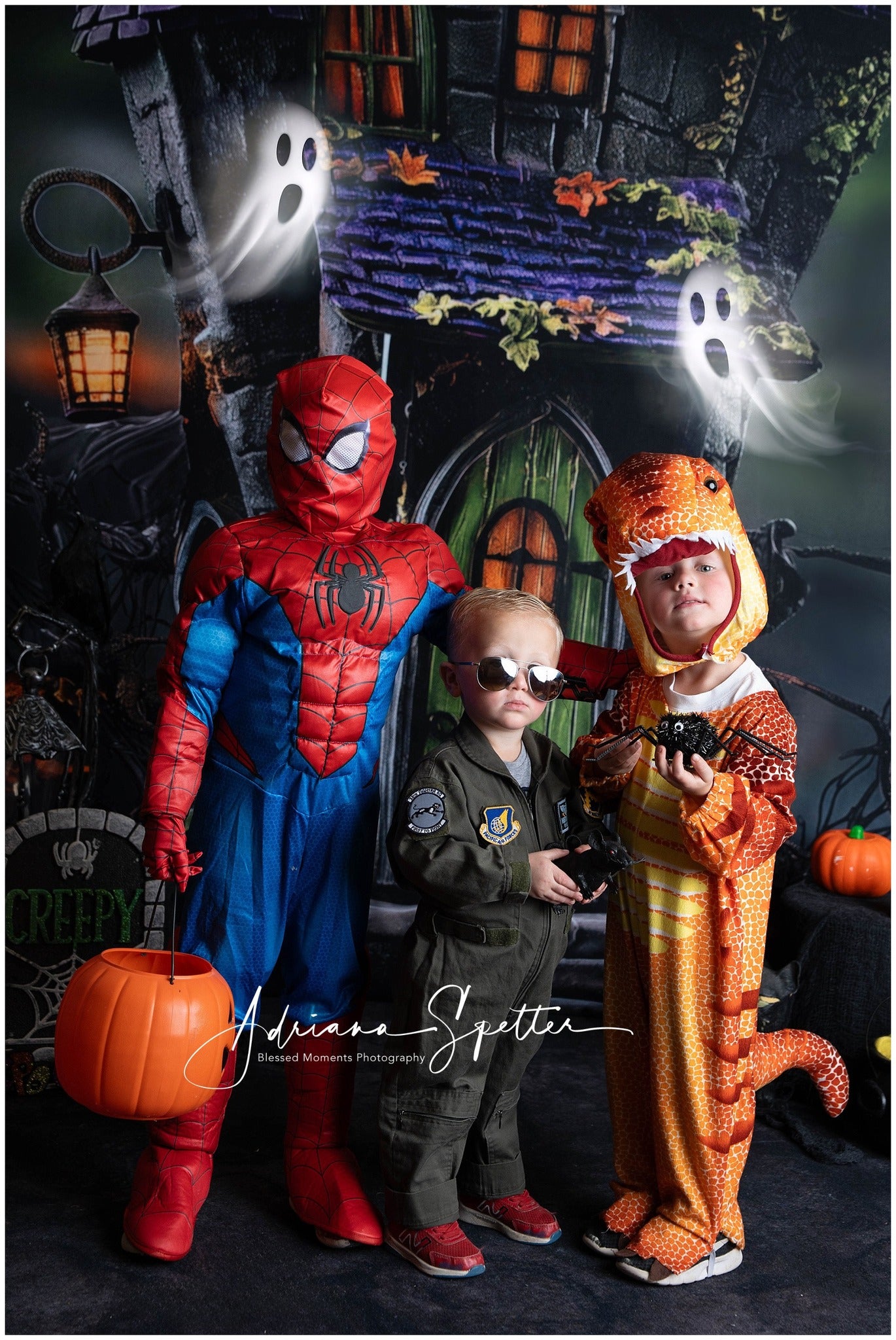 Spooky Halloween Backdrop Haunted House Green Door Lights Halloween Backdrop MRR9-131