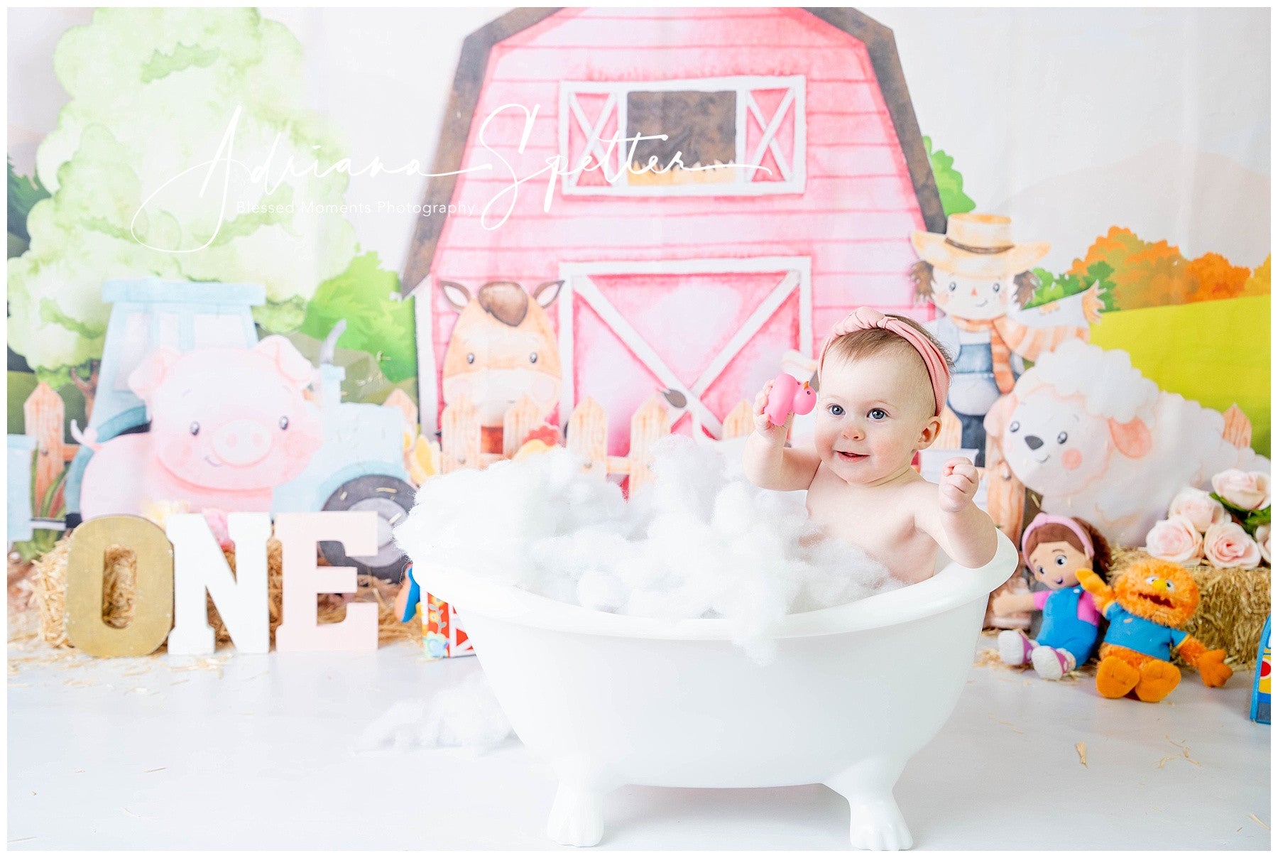Kids Photo Backdrop Cartoon Farm Animals Barn Newborn Backdrop MRR9-125