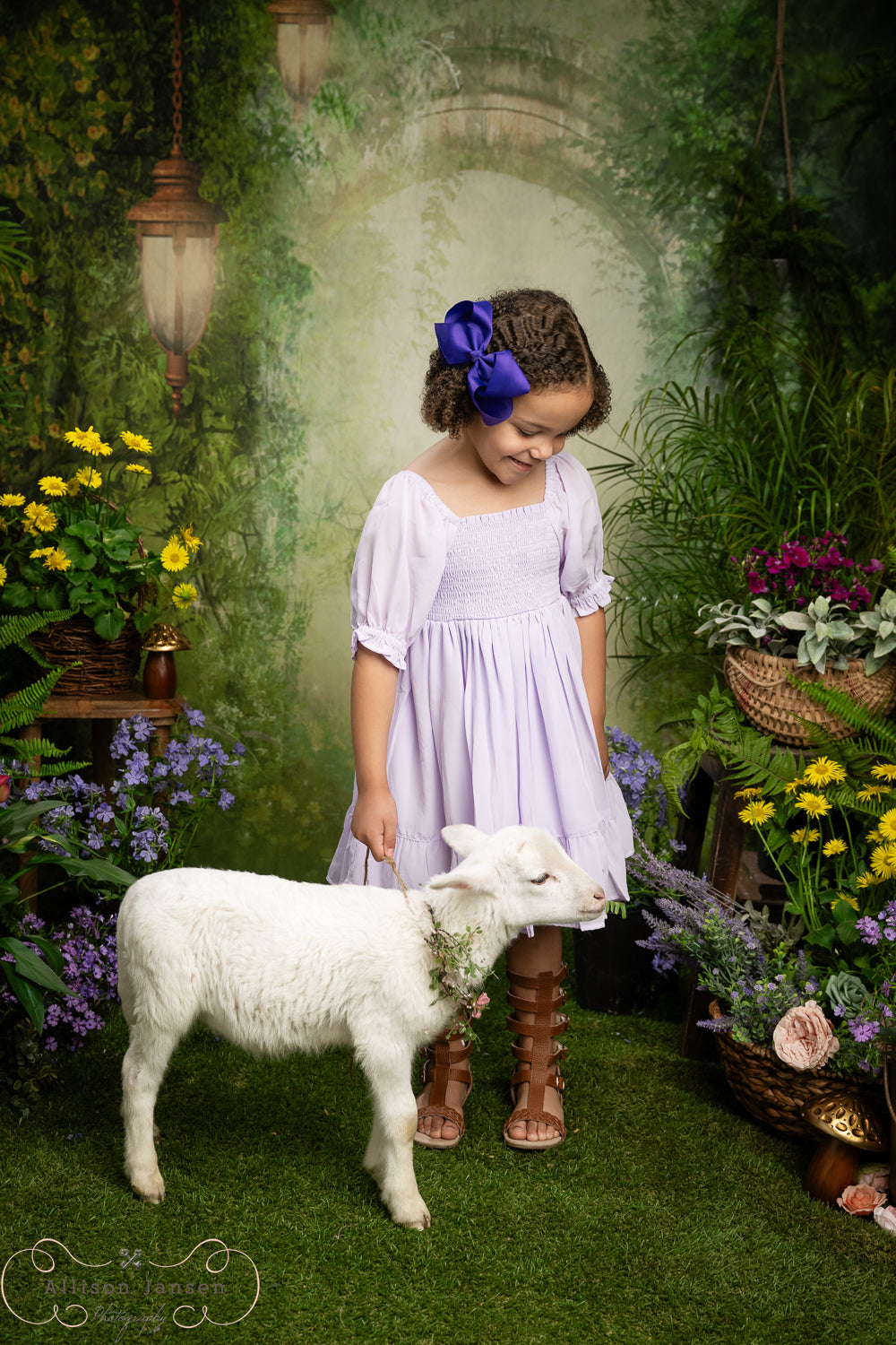 Enchanted Forest Backdrop Magical Misty Arch Lanterns Forest Backdrop MRR9-94