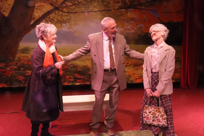 DBackdrop Custom Theater Backdrop CT1