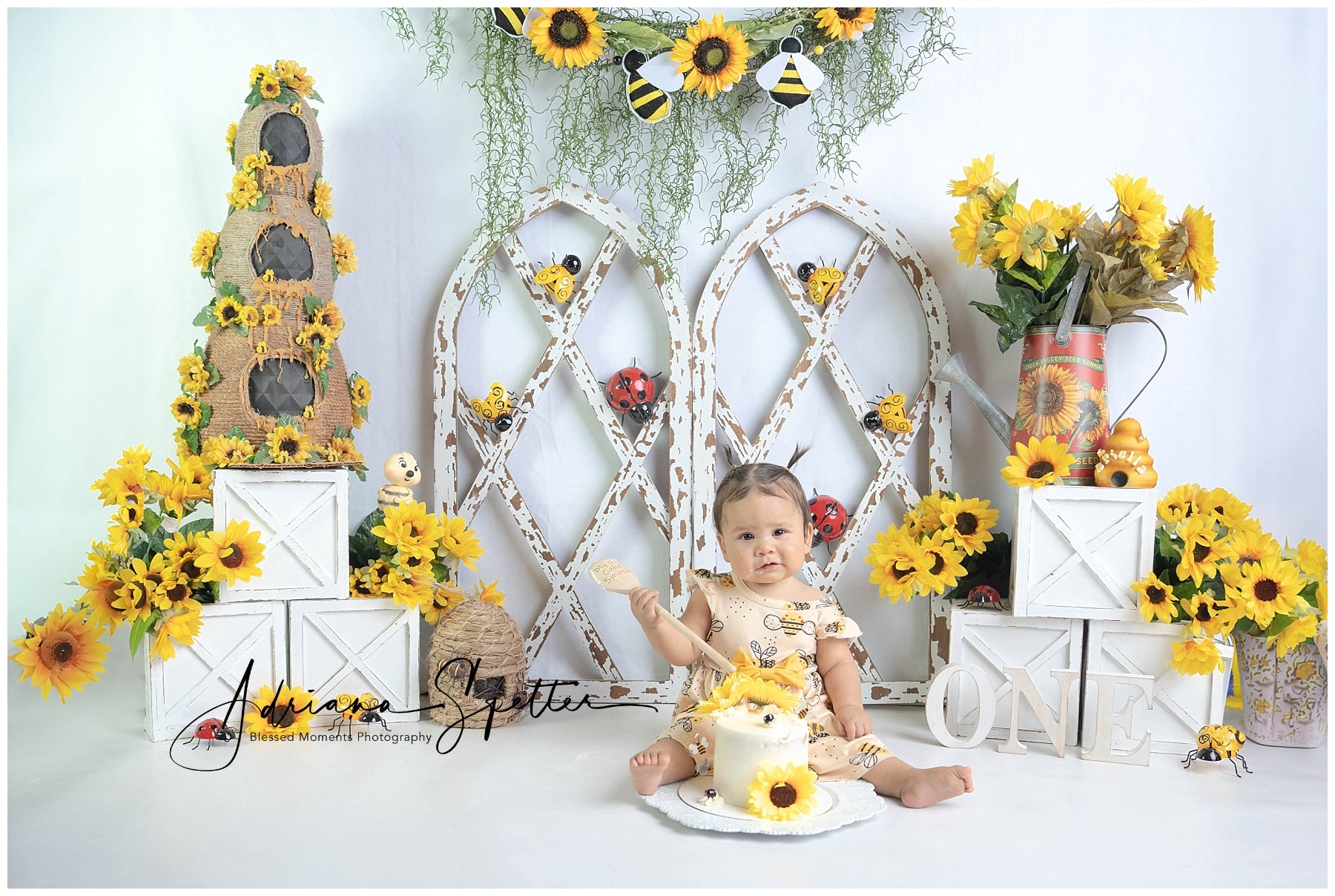 Children Backdrops Rustic Sunflower Garden Newborn Photo Backdrop MRR9-112