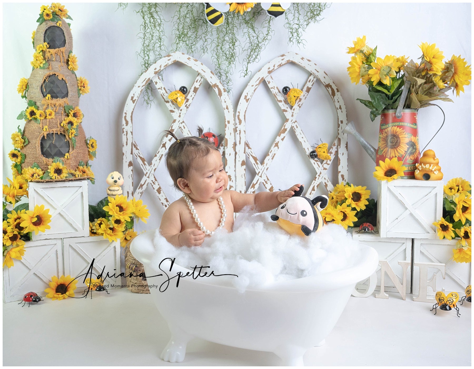 Children Backdrops Rustic Sunflower Garden Newborn Photo Backdrop MRR9-112
