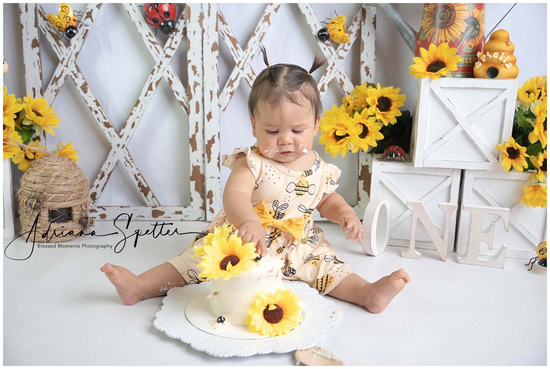 Children Backdrops Rustic Sunflower Garden Newborn Photo Backdrop MRR9-112