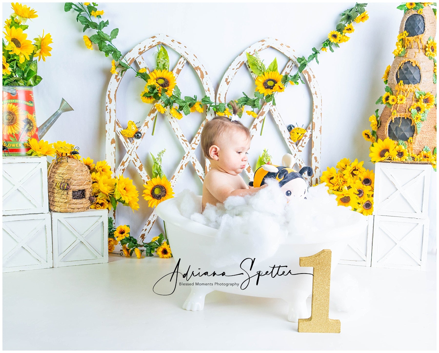 Children Backdrops Rustic Sunflower Garden Newborn Photo Backdrop MRR9-112
