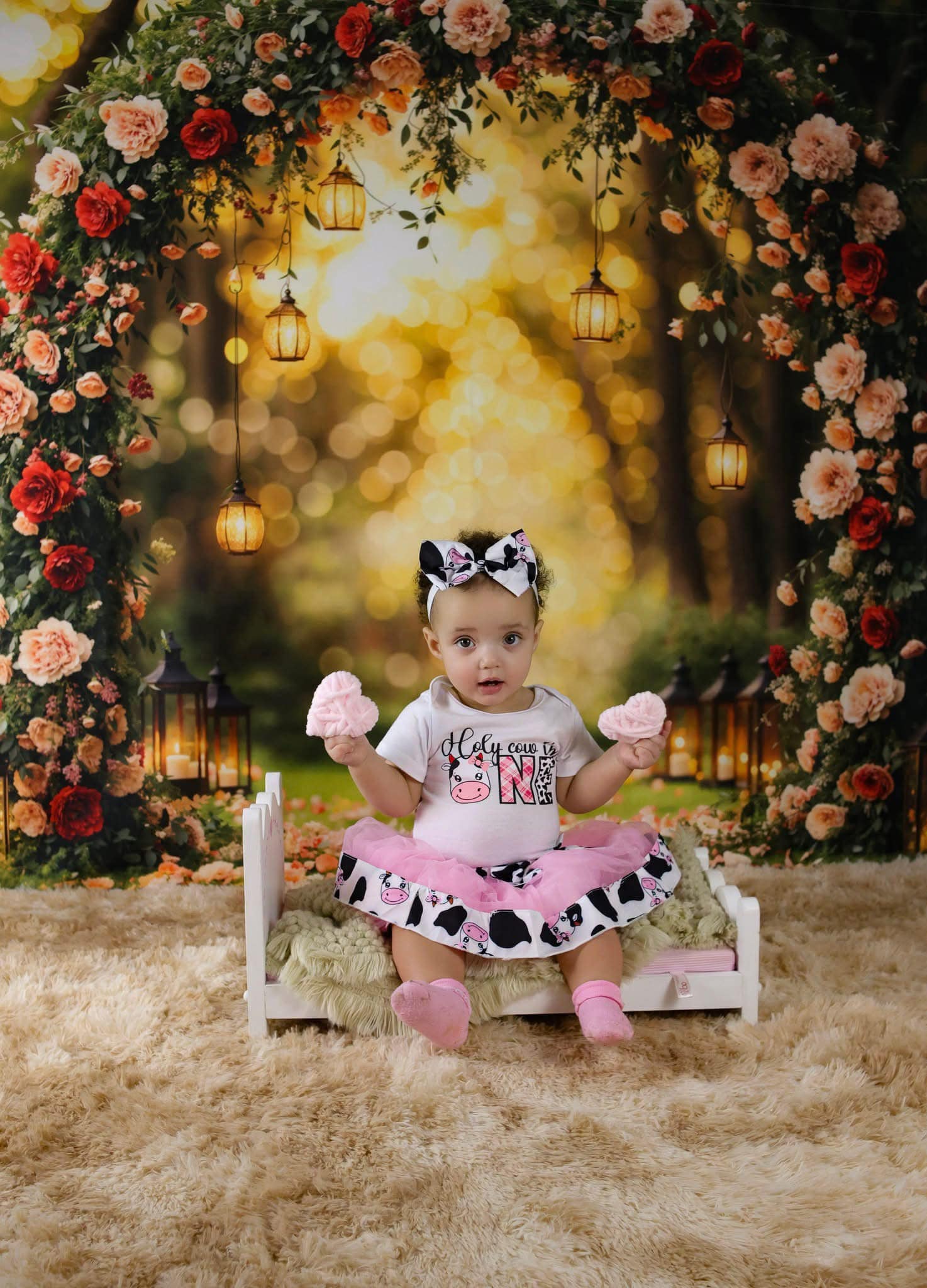 Flower Backdrop Romantic Rose Arch Lanterns Floral Photo Backdrop MRR9-81