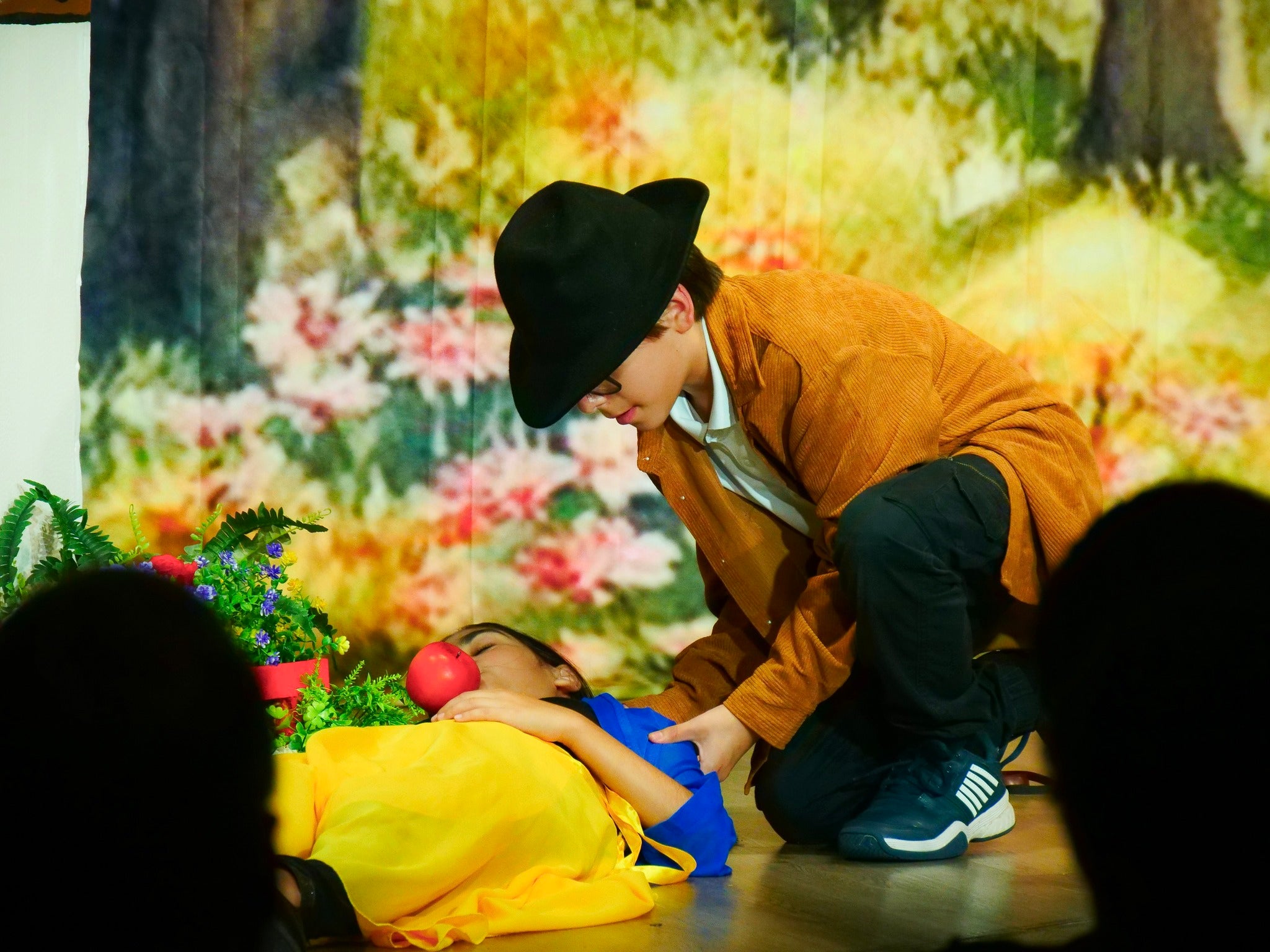 DBackdrop Custom Theater Backdrop CT1