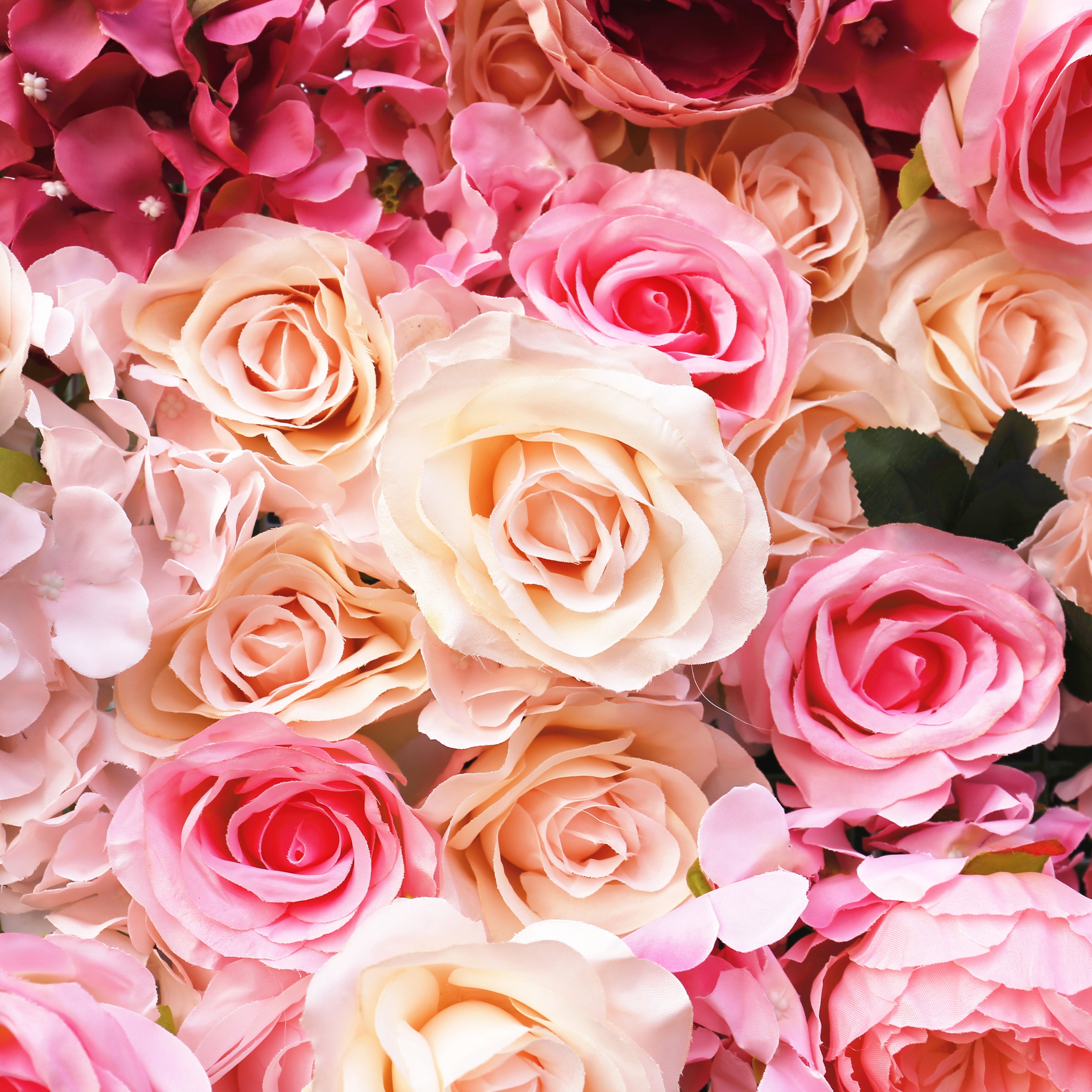 3D Pink Gradient Cloth Rose Flower Wall Wedding Event Decor ACFW-0006