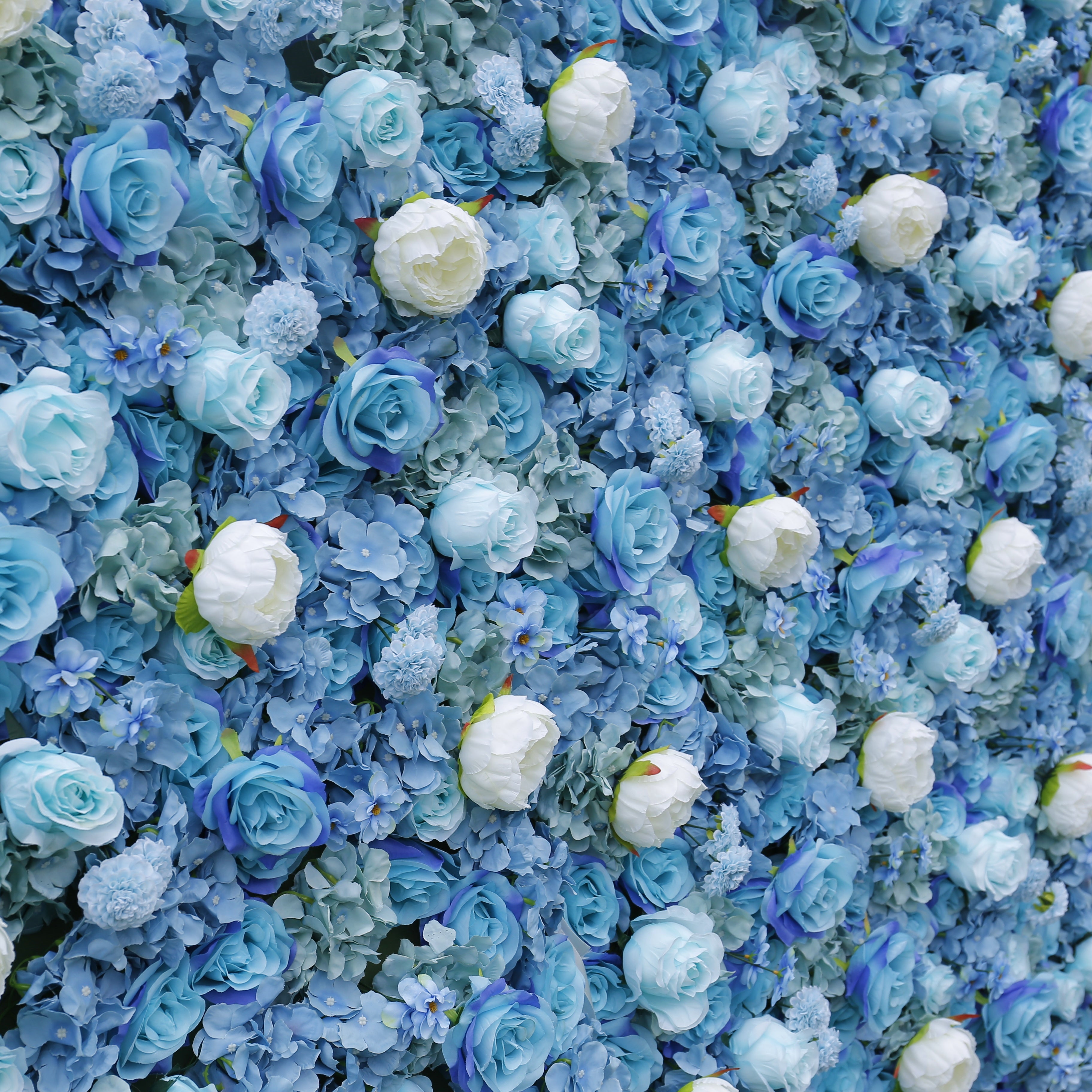 Blue White Fabric Rose Roll Up Flower Wall for Wedding Events ACFW-001