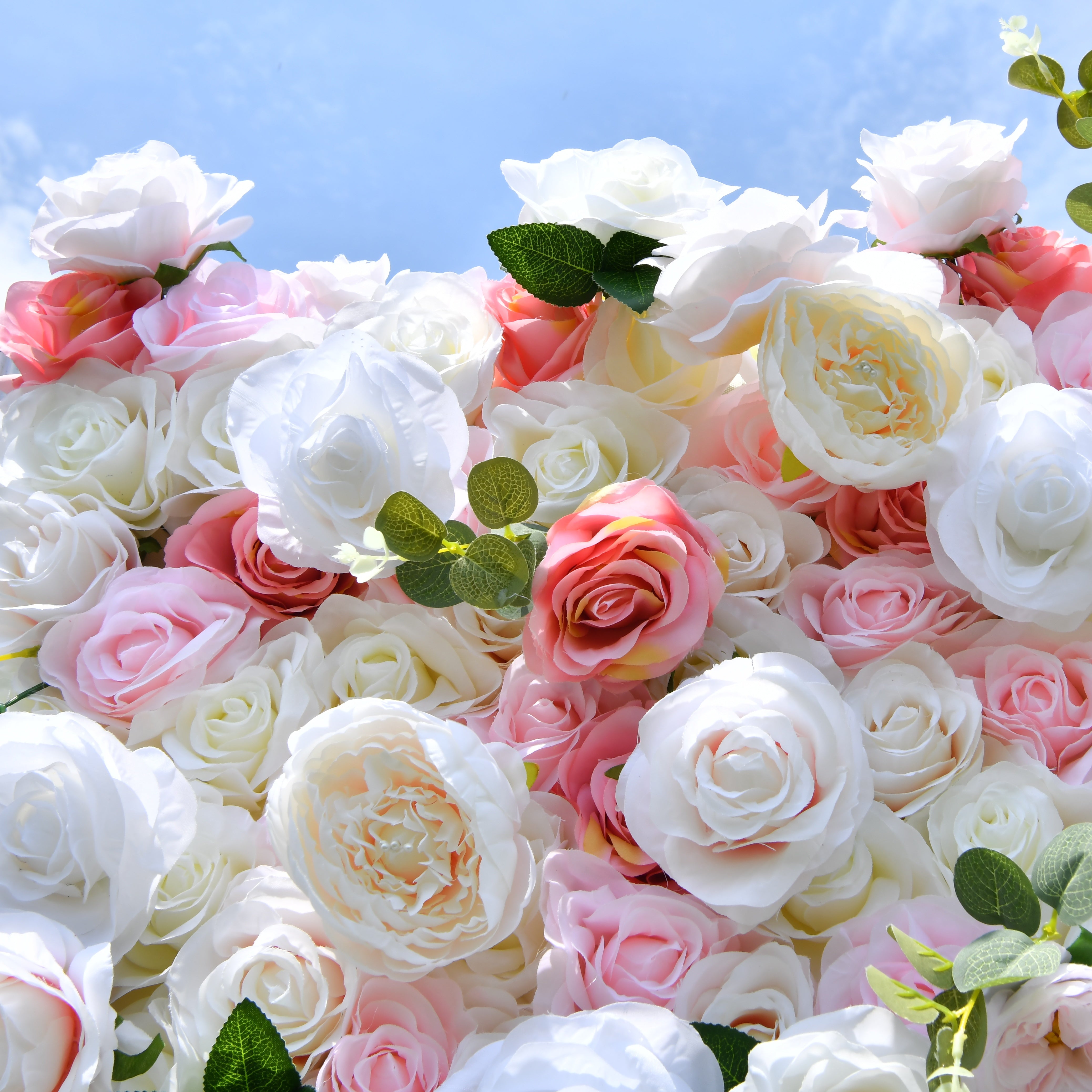 5D Pink White Artificial Rose Roll Up Flower Wall Events Backdrop ACFW-005