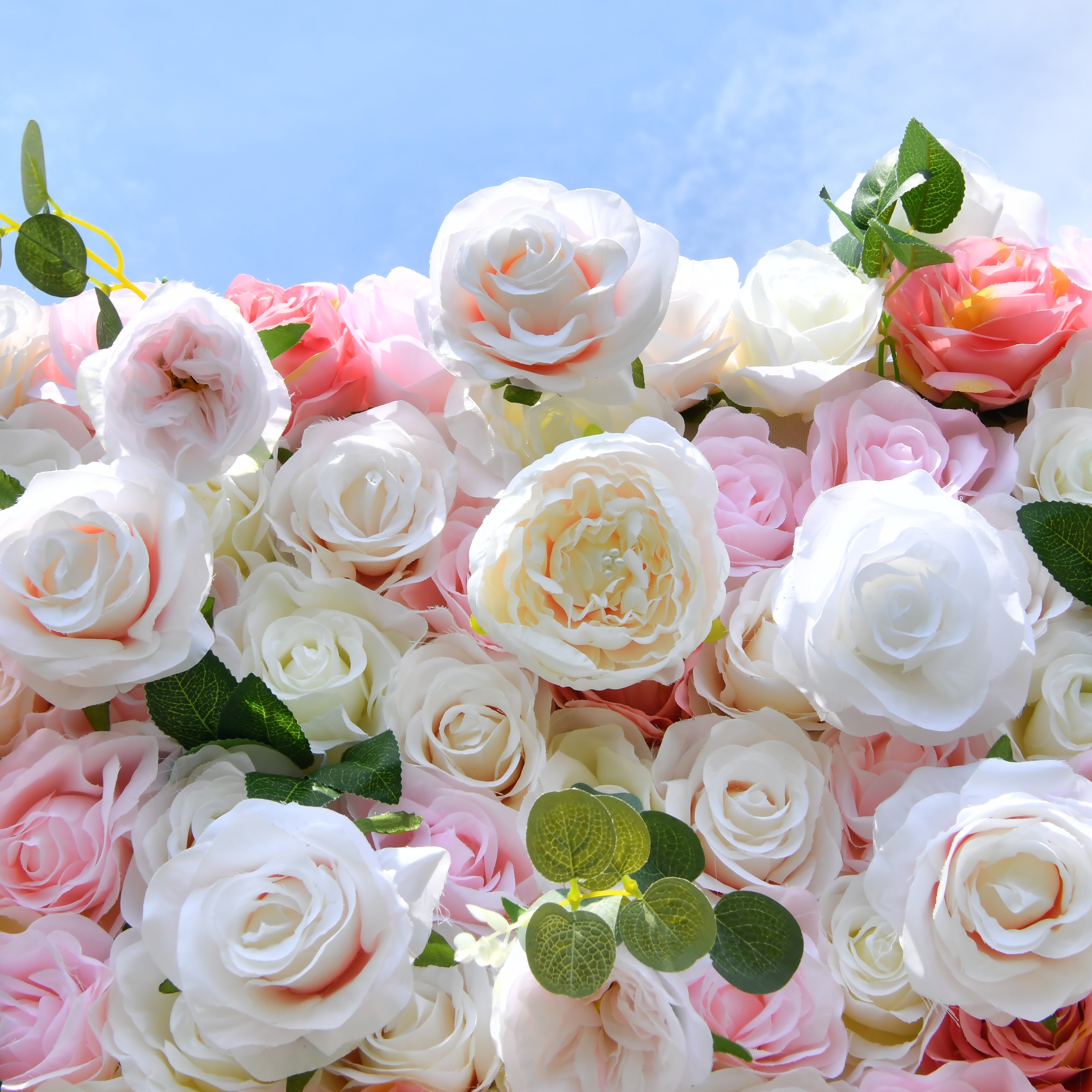 5D Pink White Artificial Rose Roll Up Flower Wall Events Backdrop ACFW-005