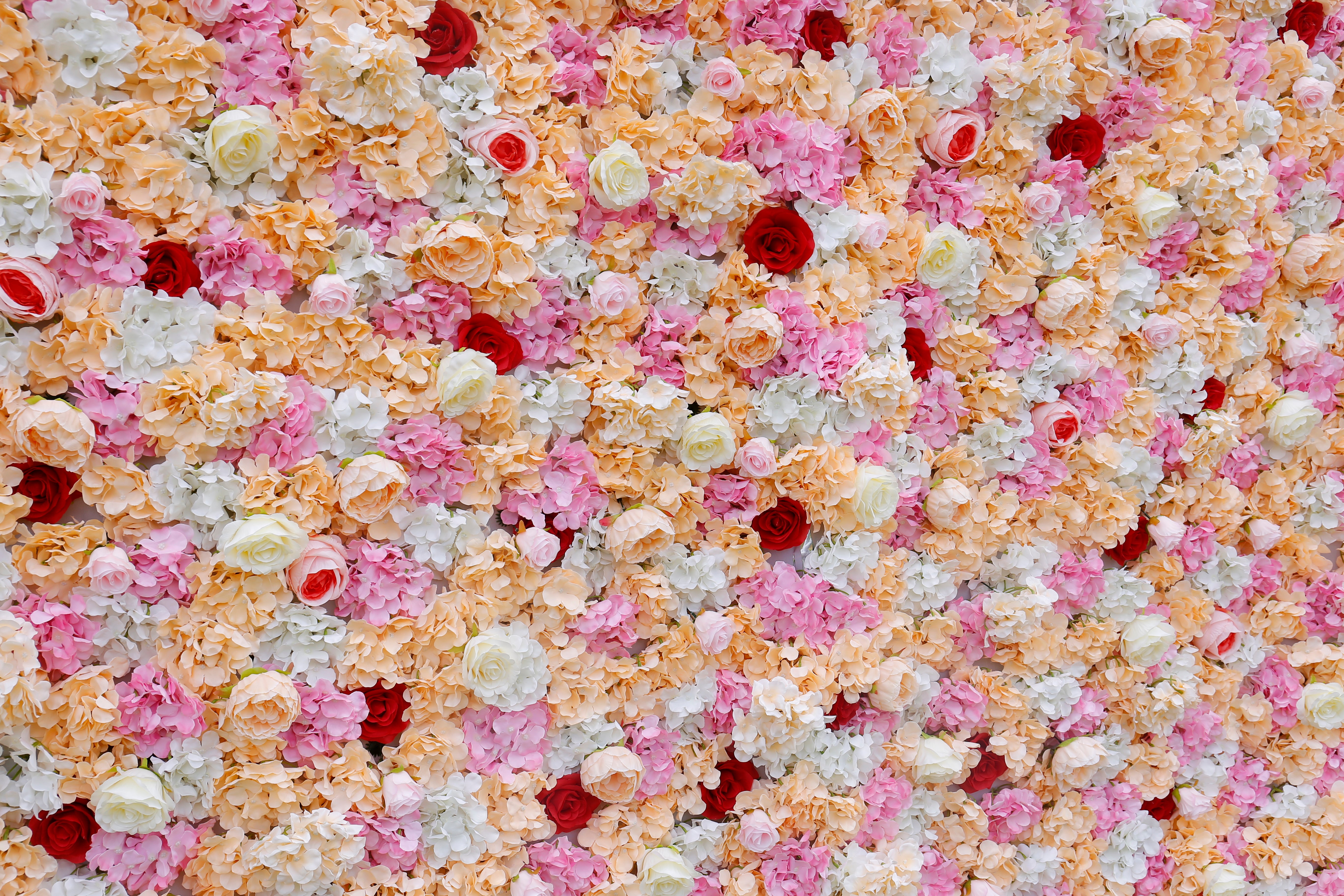 5D Pink Yellow Fabric Rose Hydrangea Faux Roll Up Flower Wall ACFW-018