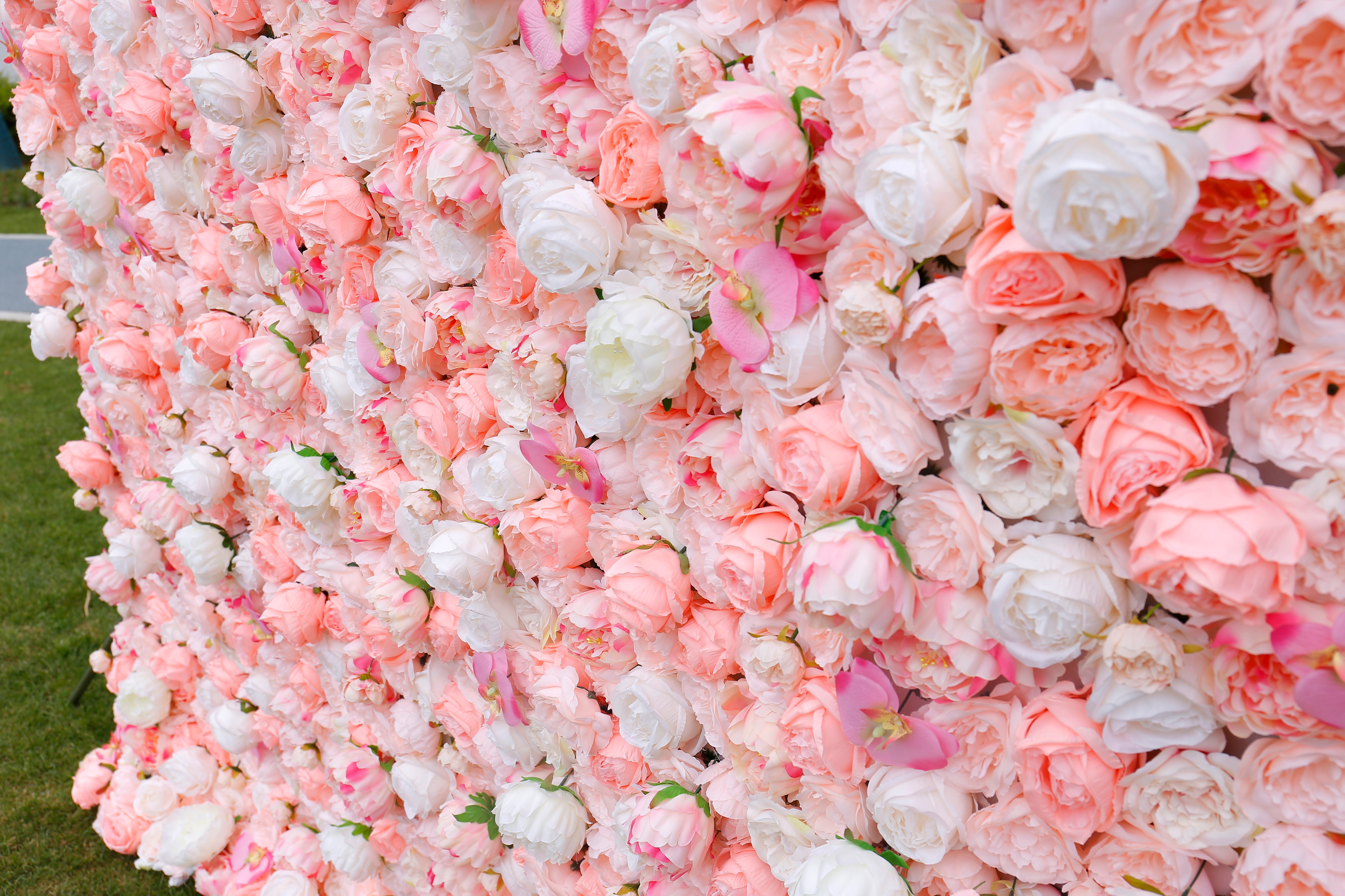 5D Silk Pink White Roses Roll Up Artificial Flower Wall Backdrop ACFW-019