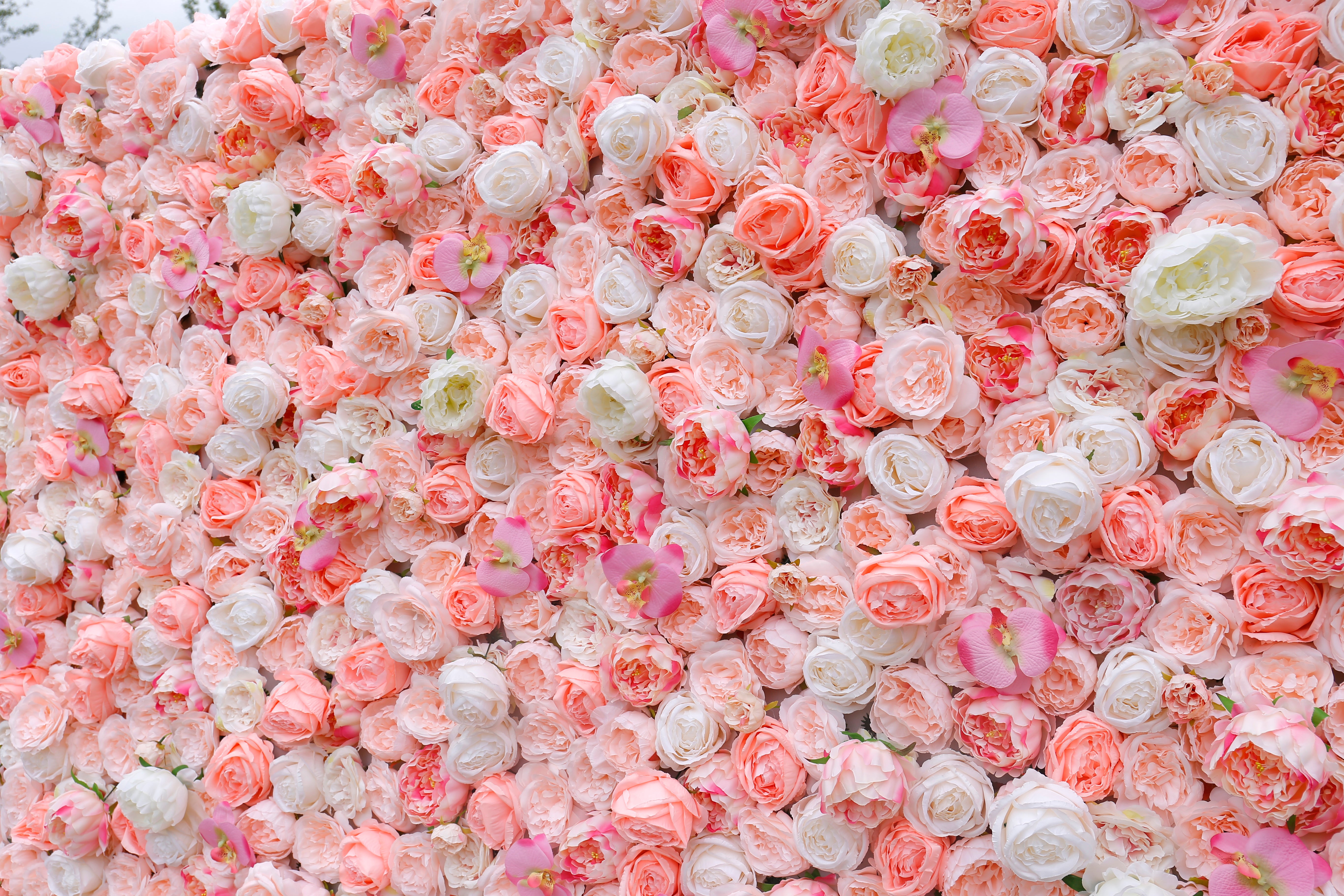 5D Silk Pink White Roses Roll Up Artificial Flower Wall Backdrop ACFW-019