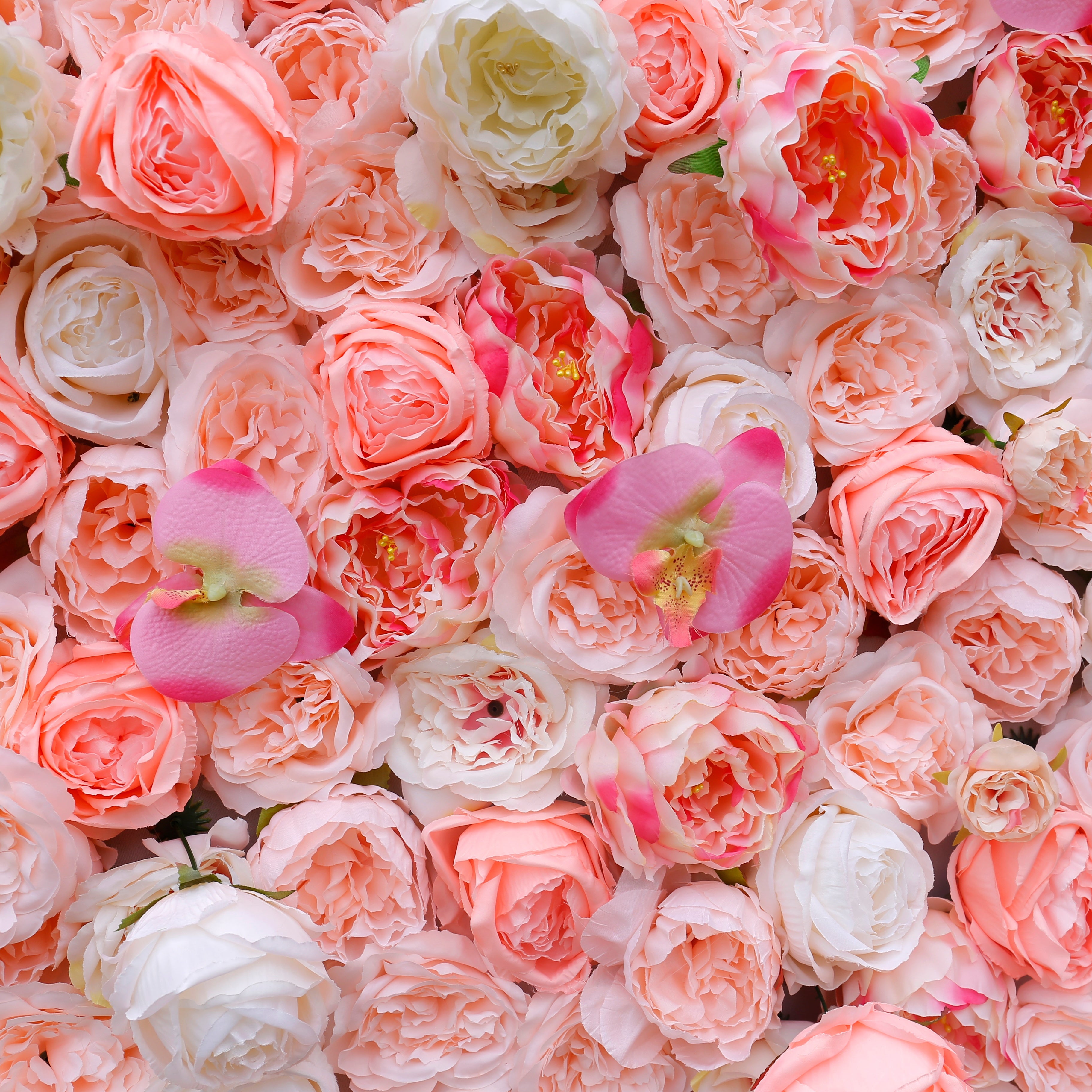 5D Silk Pink White Roses Roll Up Artificial Flower Wall Backdrop ACFW-019