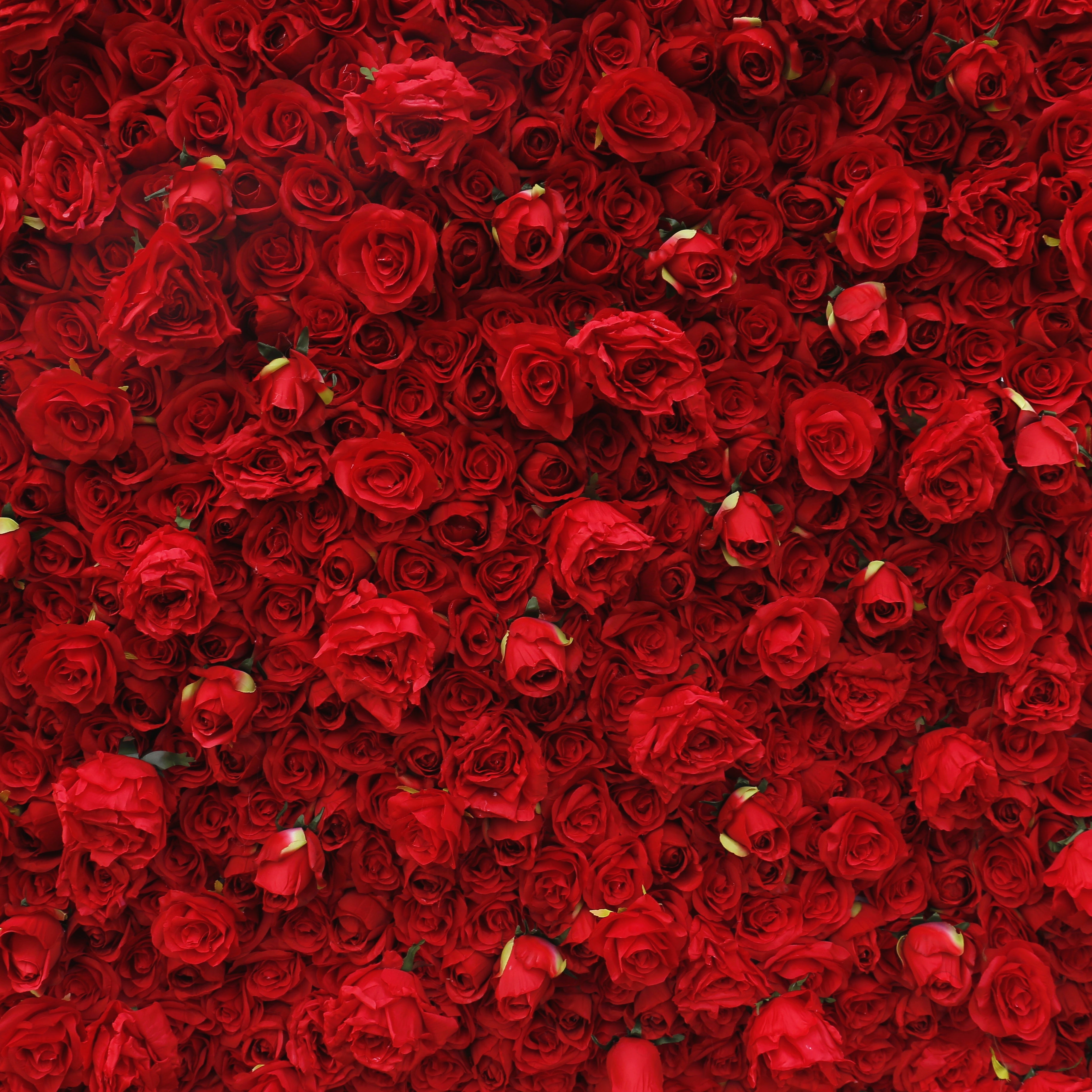 Red Roses Fabric Wedding Arrangement Roll Up Flower Wall ACFW-041