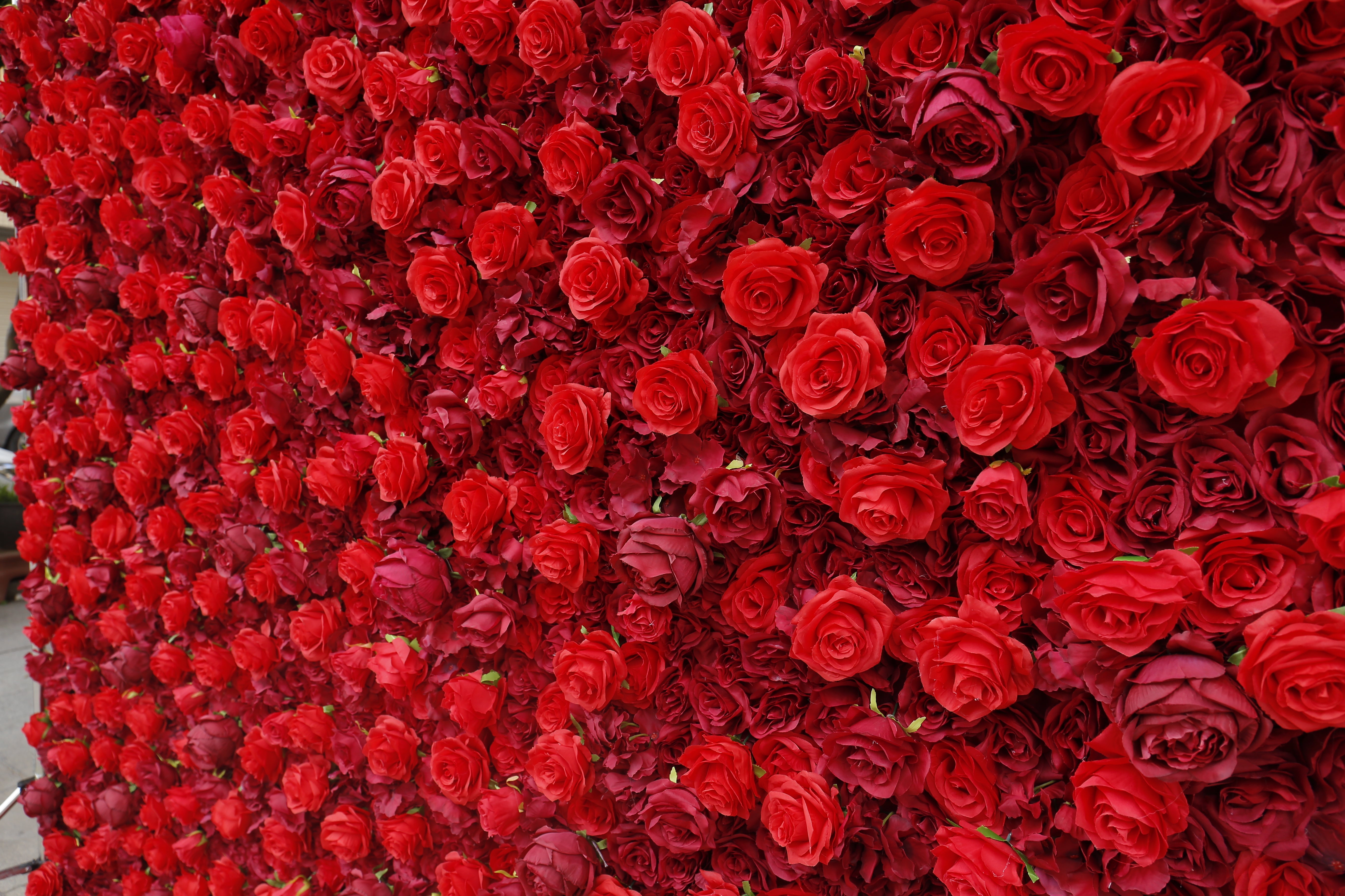 3D Full Red Rose Fabric Wedding Backdrop Rolling Up Flower Wall ACFW-050