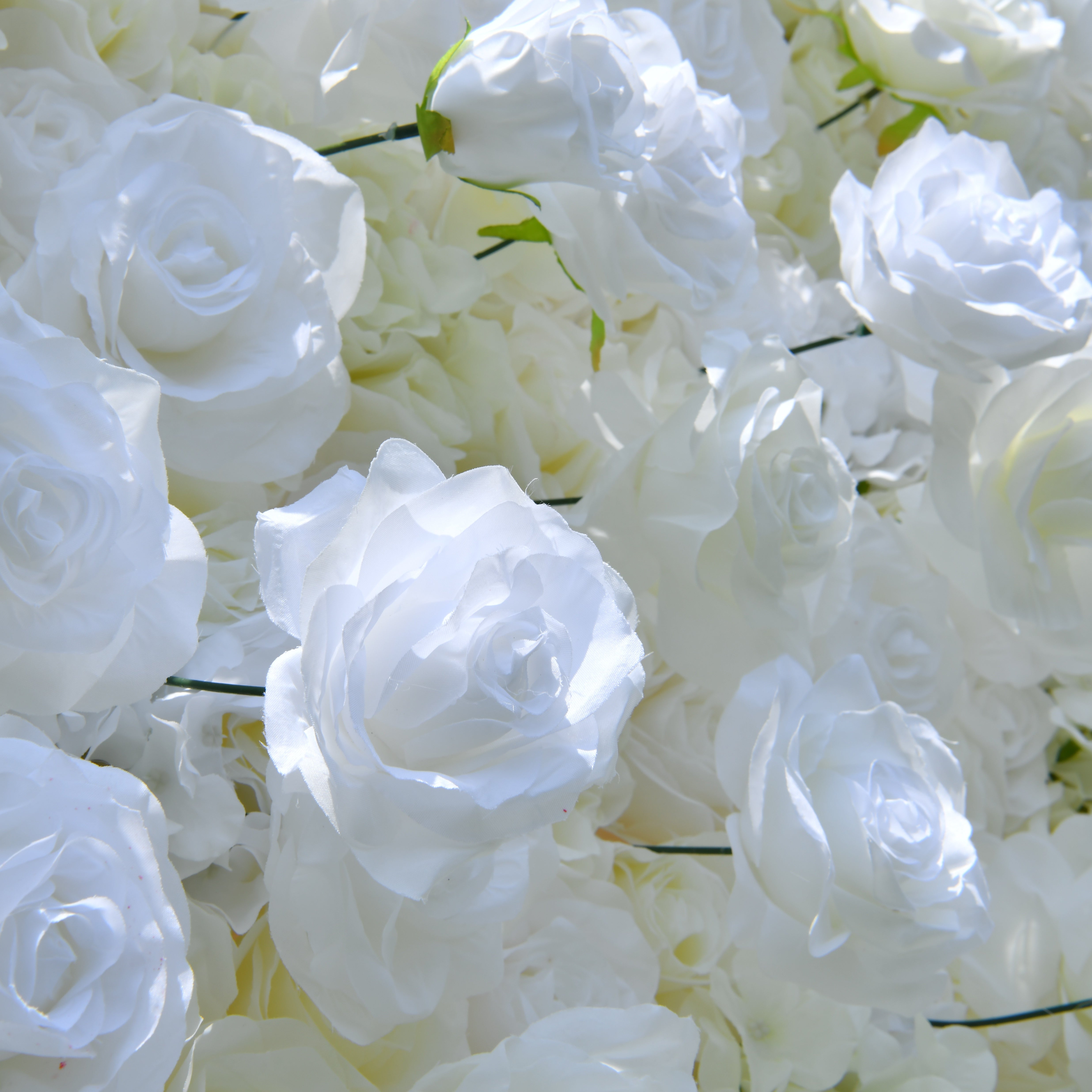 Pure White Fabric Roses Wedding Backdrop Roll Up Flower Wall ACFW-0601