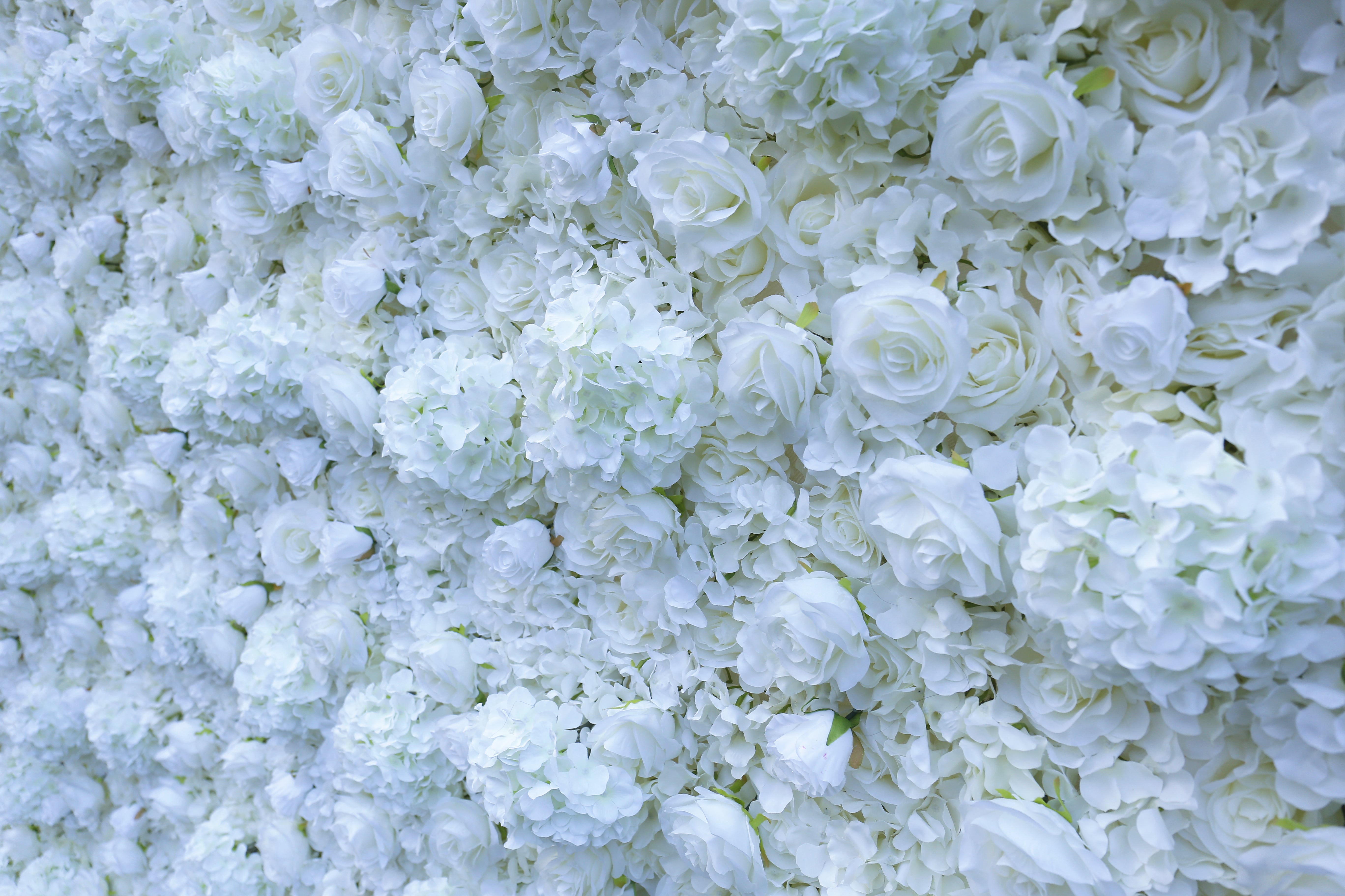 3D Silk Cloth Pure White Rose Simulated Wedding Faux Flower Wall ACFW-034