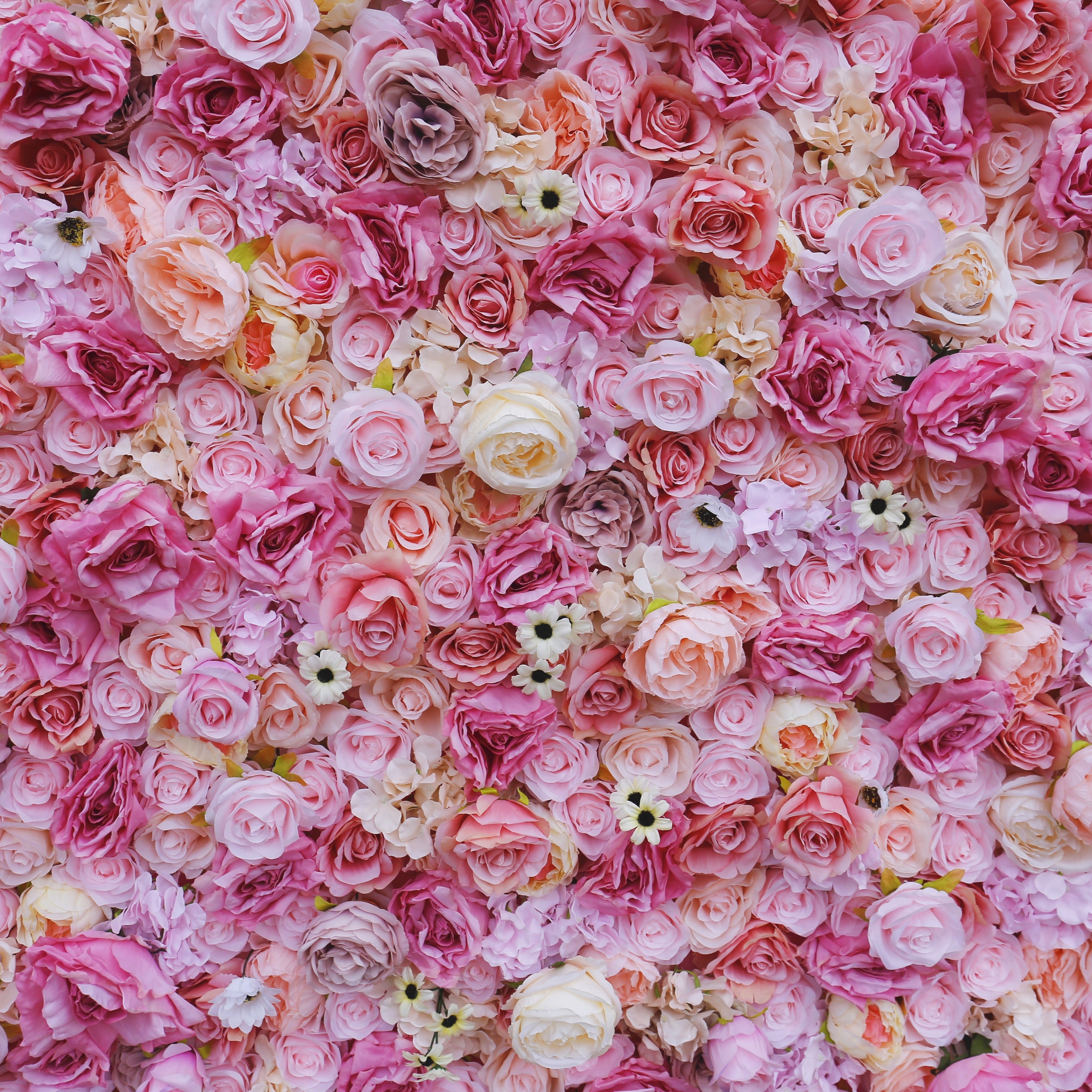 Blush Pink Silk Rose Wedding Backdrop Faux Roll Up Flower Wall ACFW-067