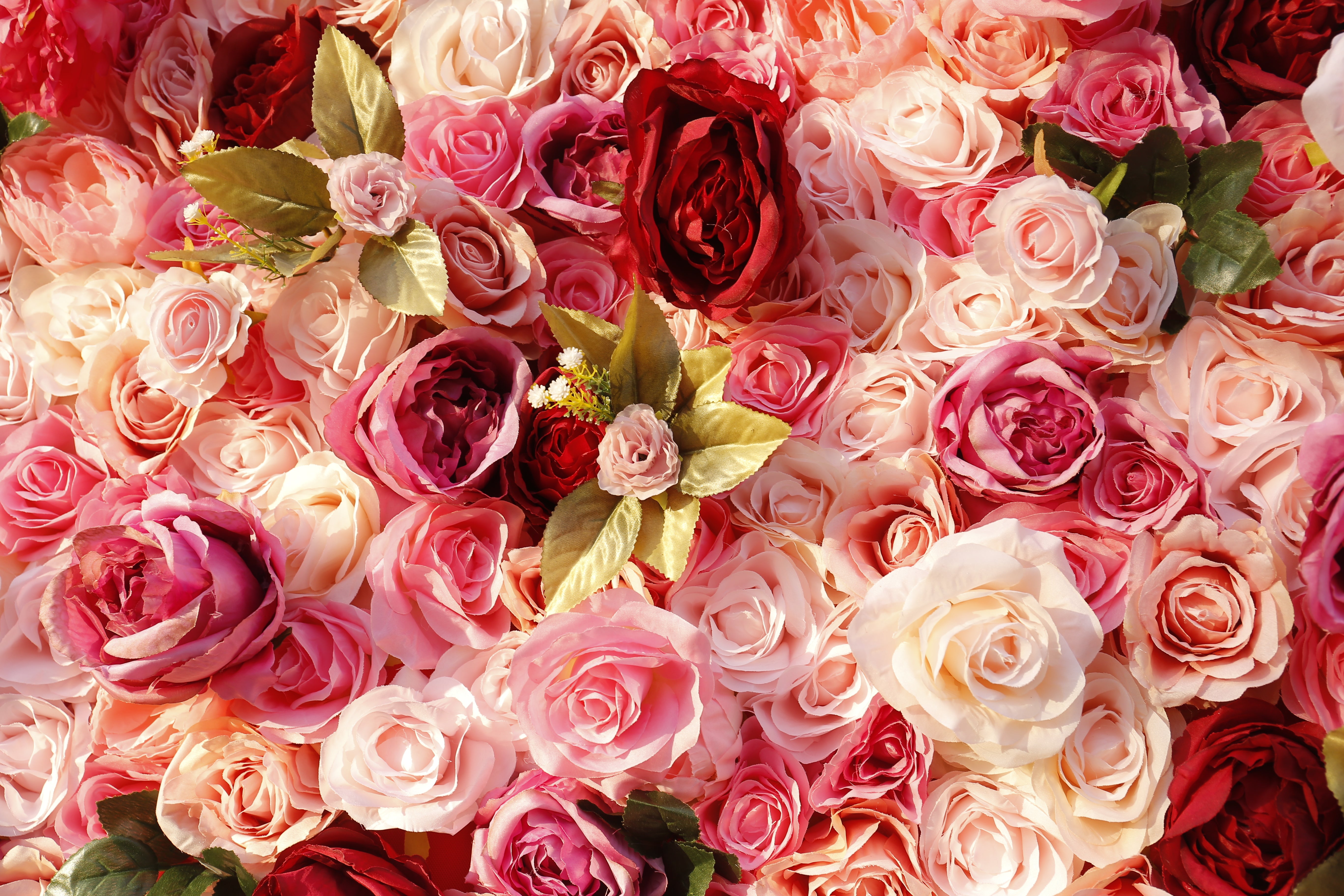 Pink Red Roses Simulated 5D Cloth Roll Up Wedding Flower Wall ACFW-068