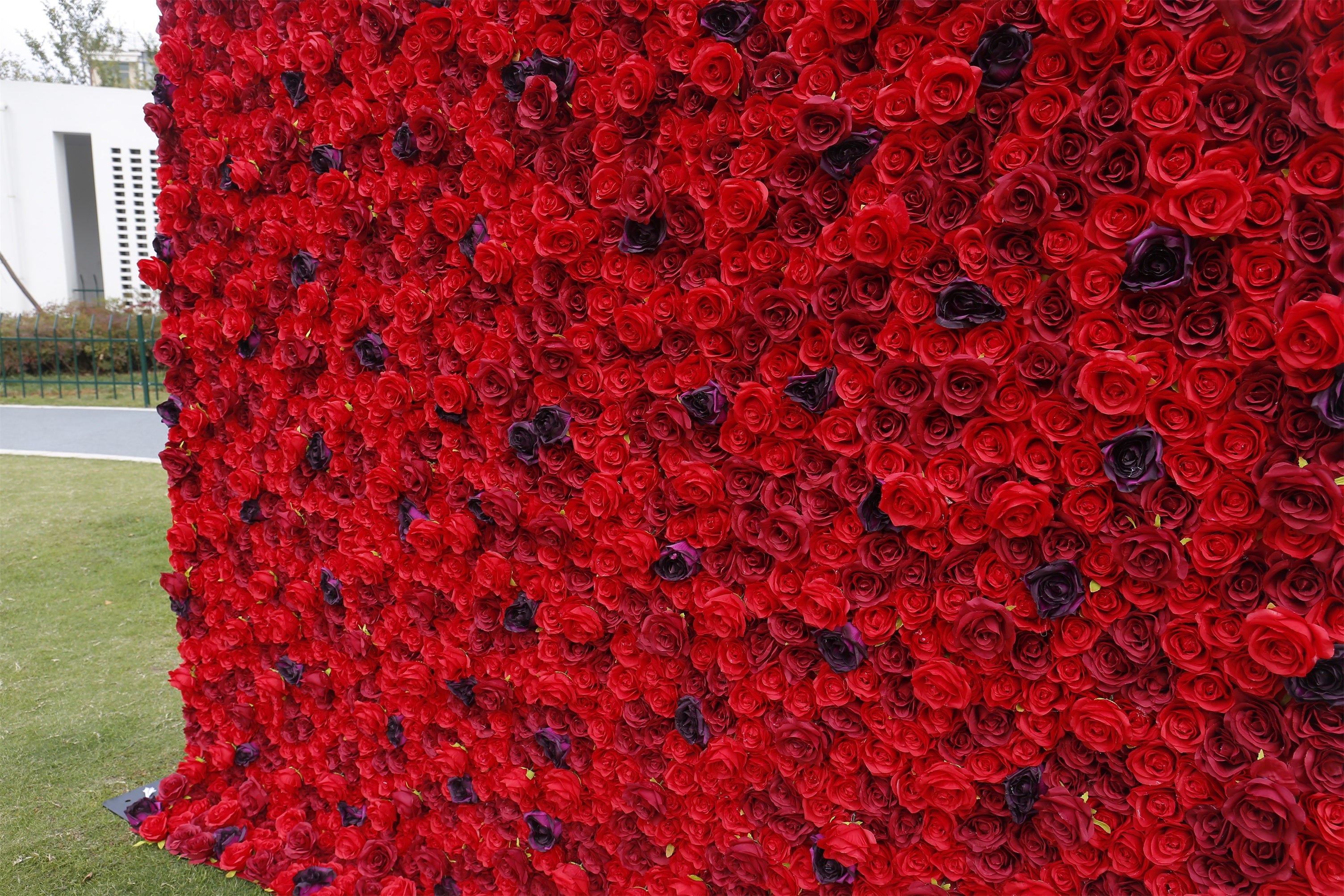 3D Full Red Rose Artificial Roll up Flower Wall Wedding Deocr ACFW-084