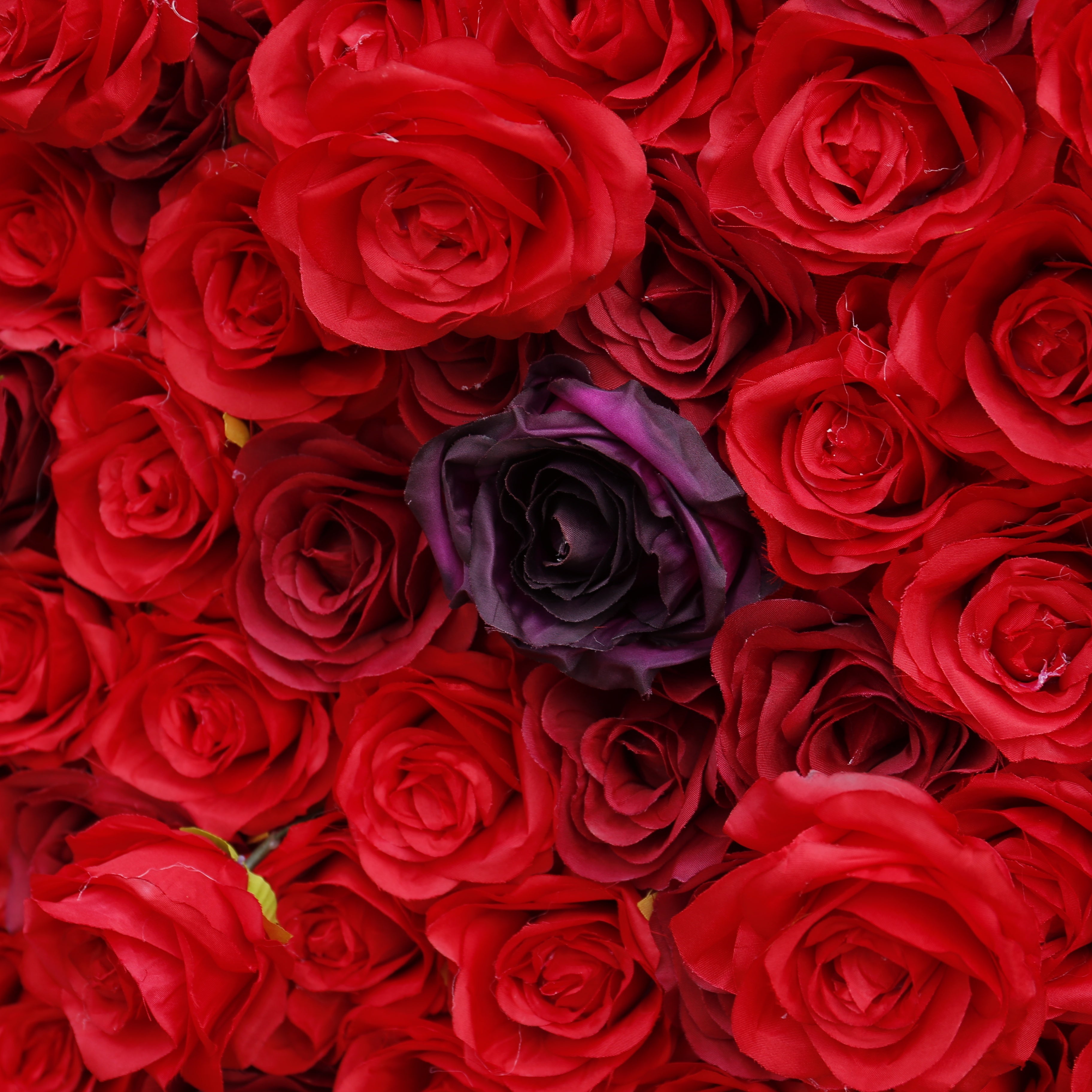 5D Full Red Fabric Rose Wedding Artificial Roll up Flower Wall ACFW-084