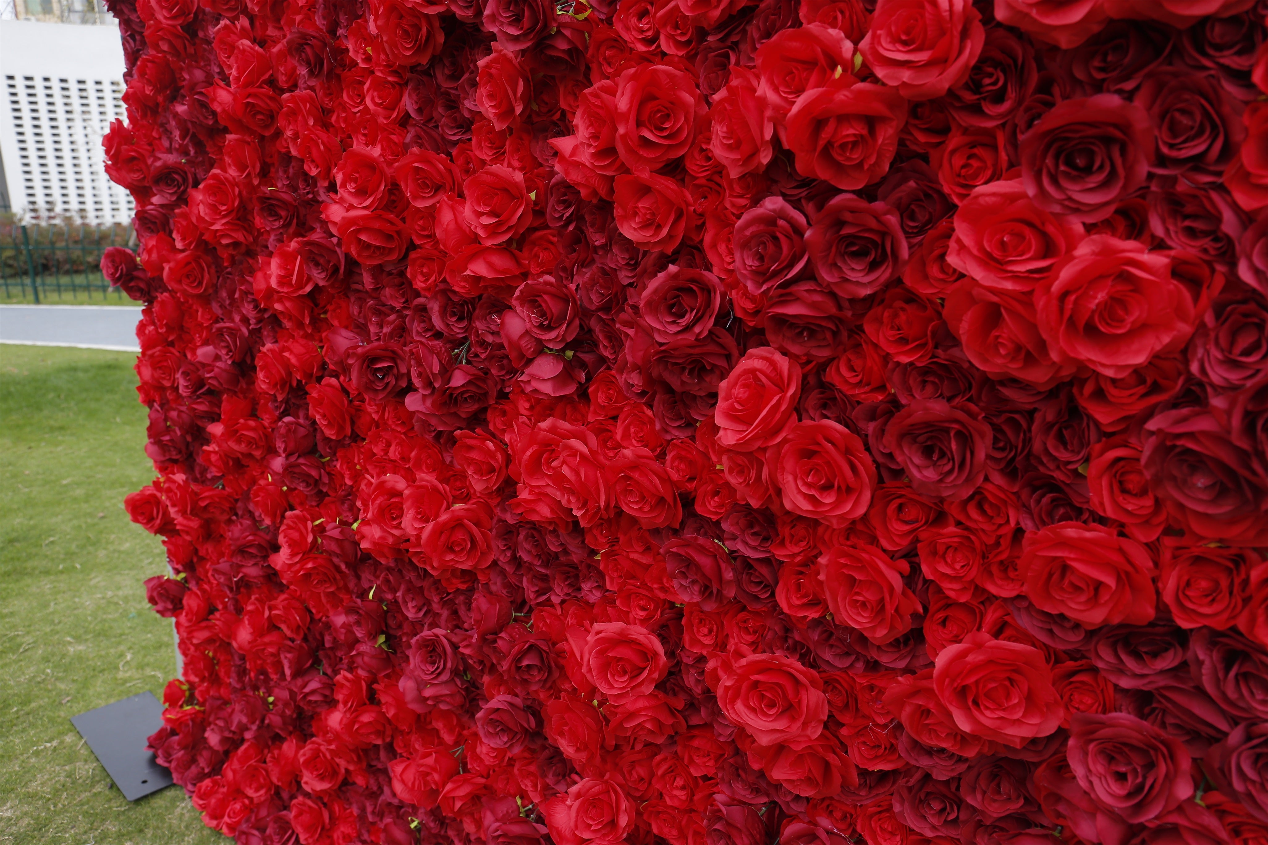 3D Full Red Rose Artificial Roll up Flower Wall Wedding Deocr ACFW-084