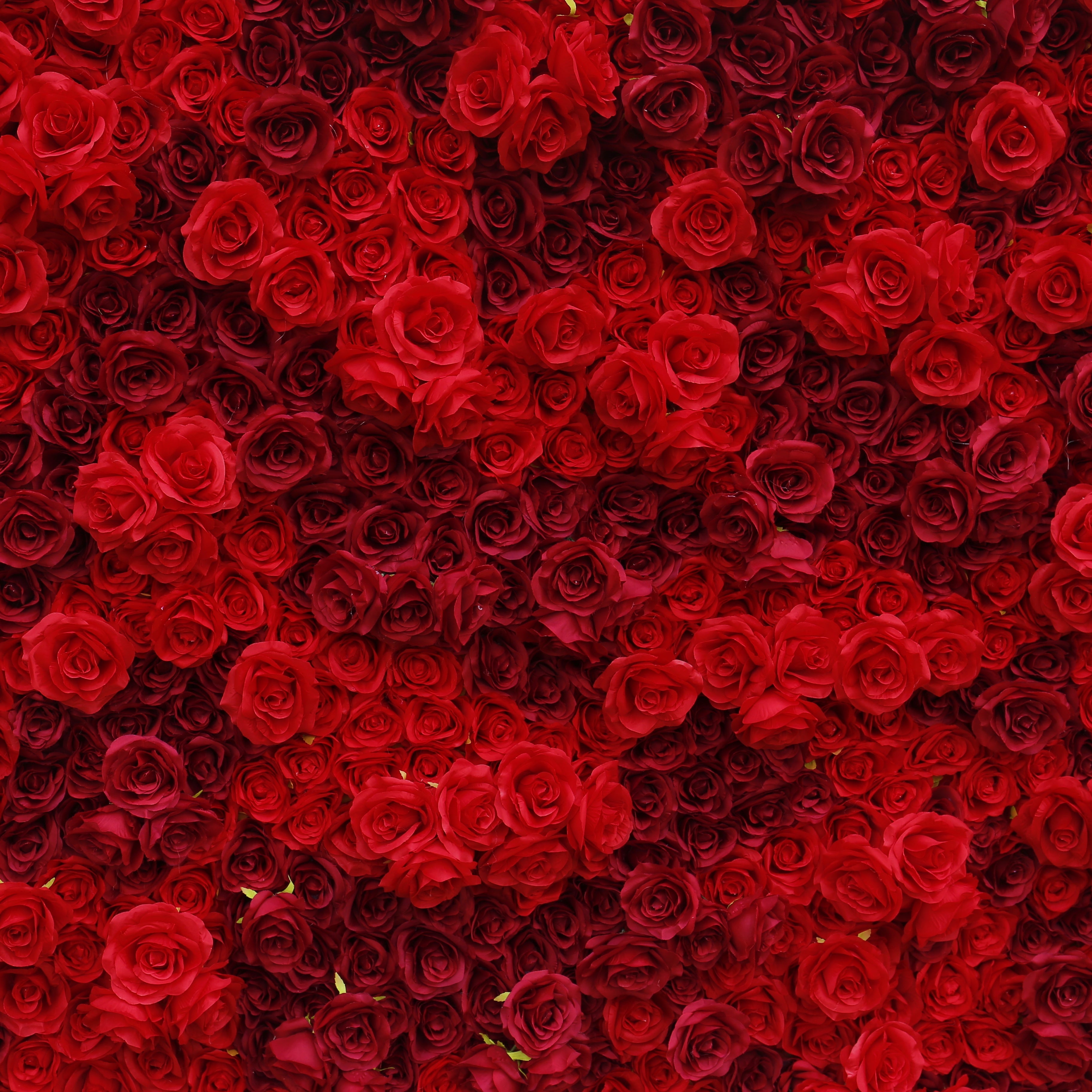5D Full Red Fabric Rose Wedding Artificial Roll up Flower Wall ACFW-084