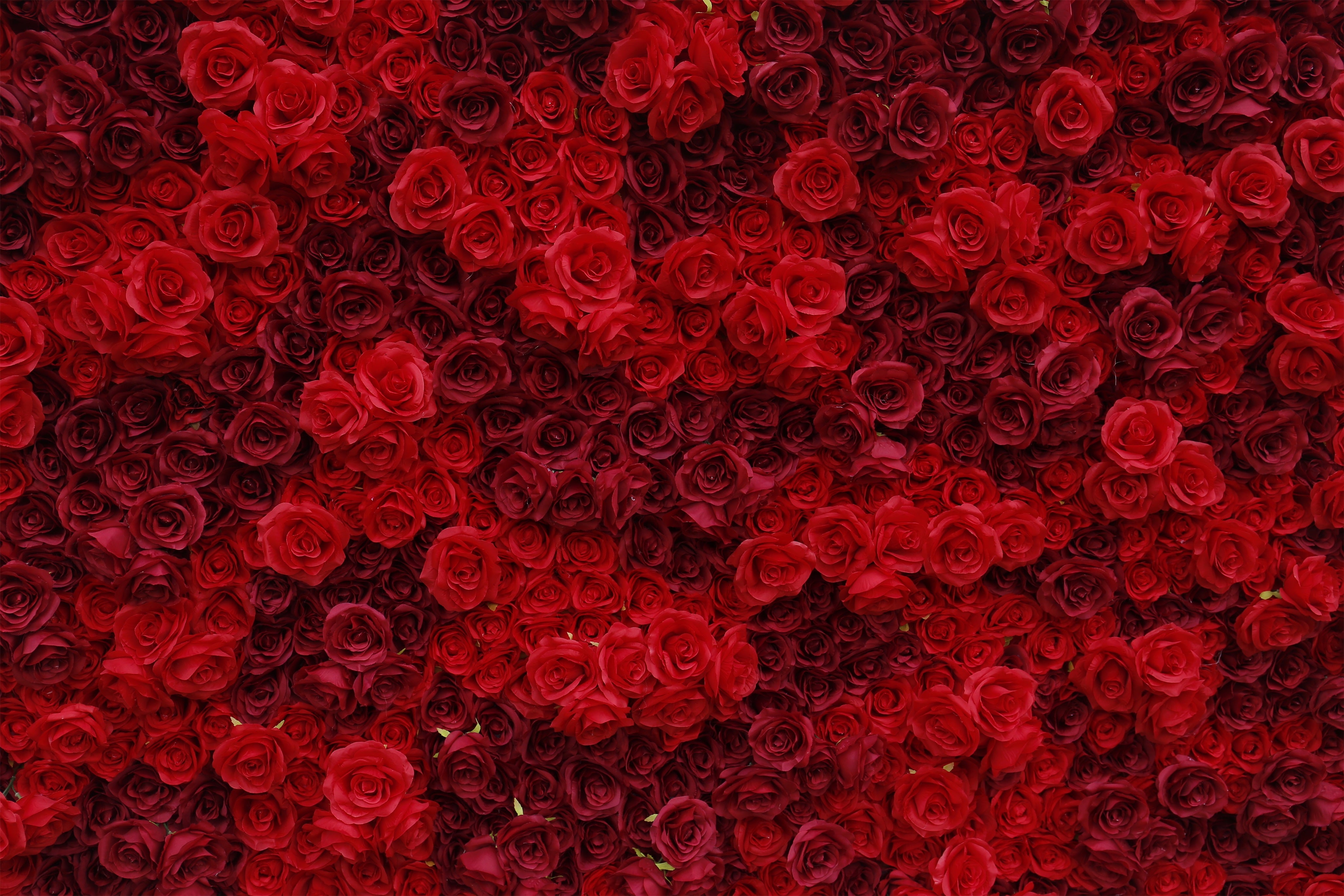 3D Full Red Rose Artificial Roll up Flower Wall Wedding Deocr ACFW-084