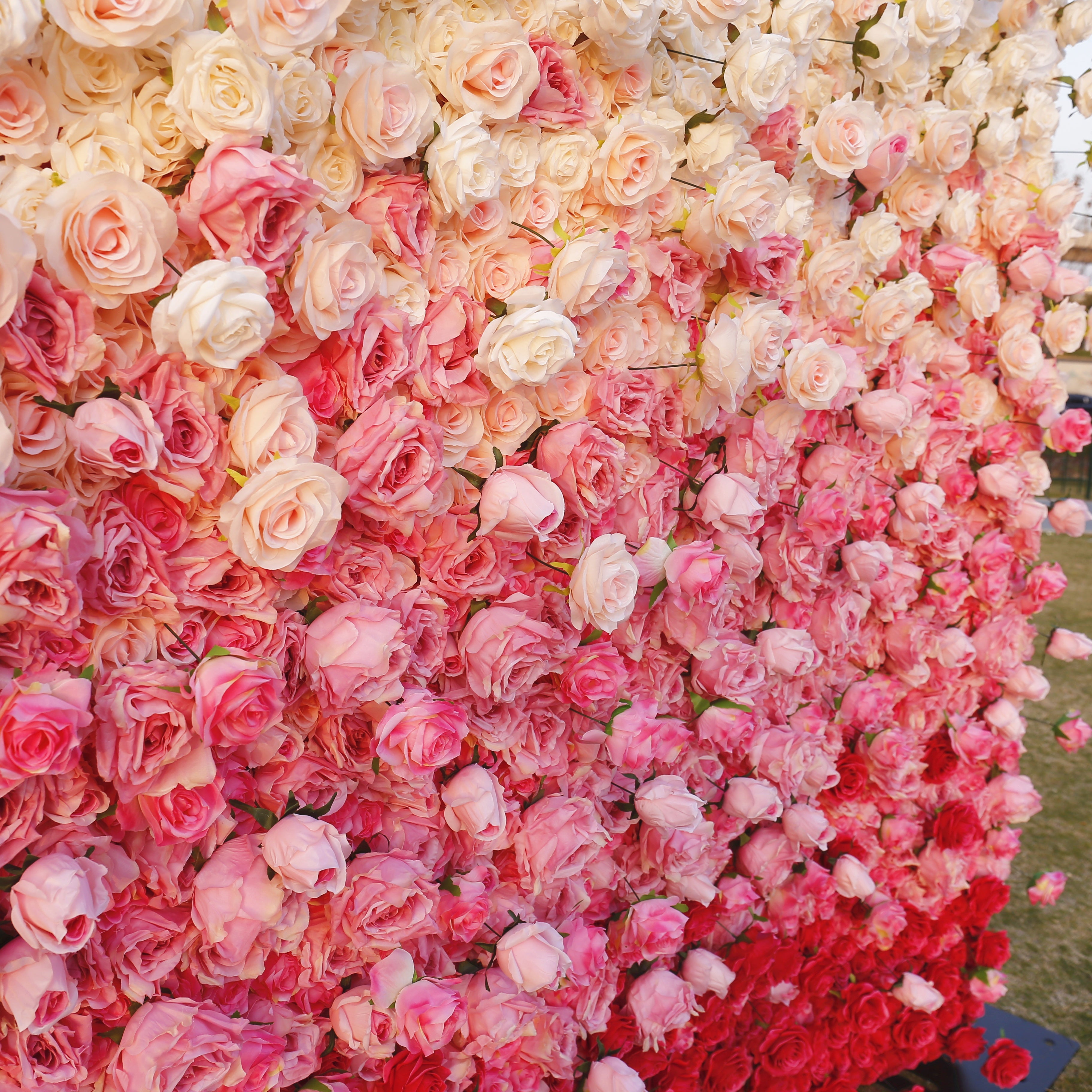 5D Ombre Pink White Fabric Rose Wedding Roll Up Flower Wall ACFW-094