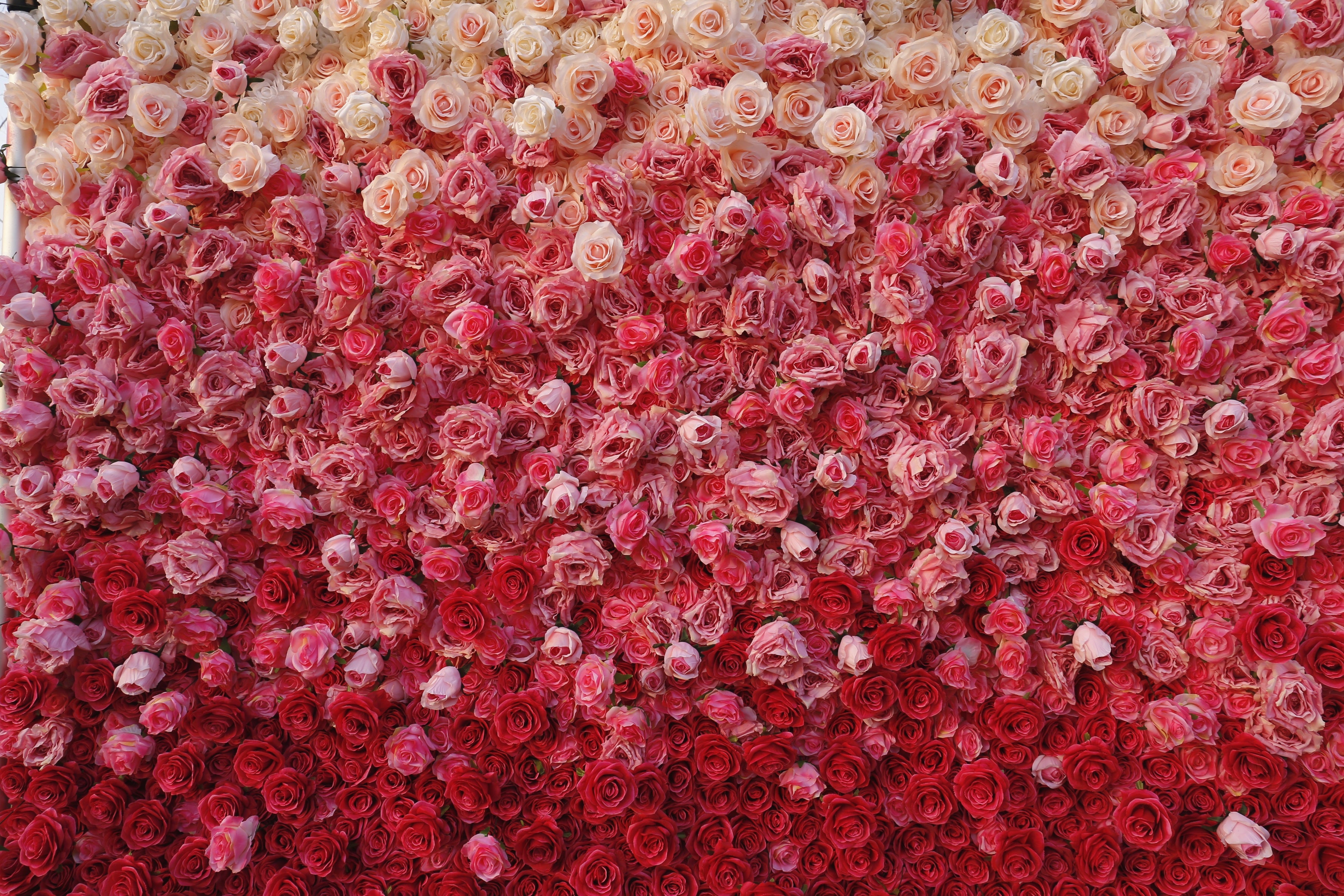 Gradient Pink White Fabric 5D Hanging Curtain Wedding Floral Wall ACFW-094