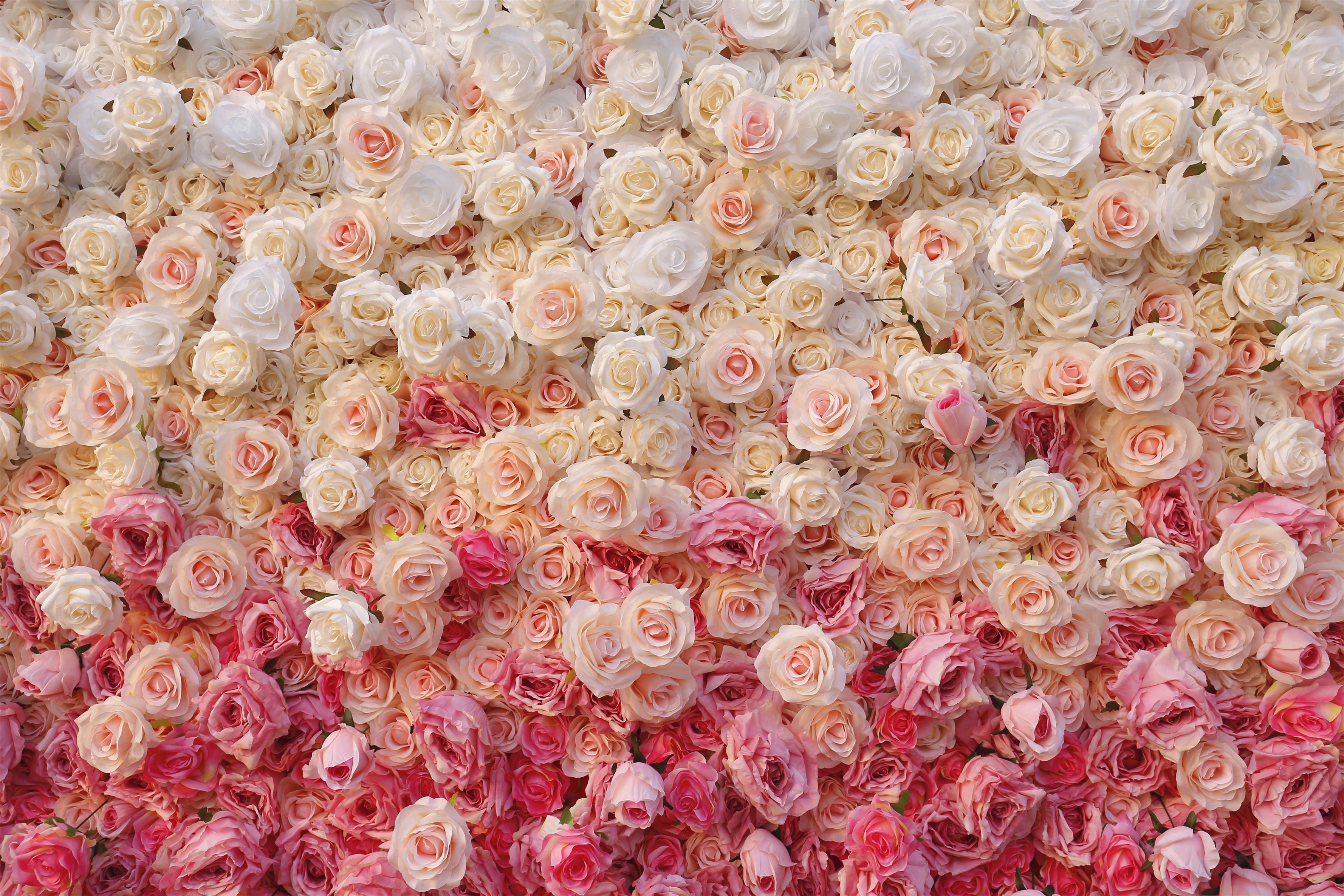 Gradient Pink White Fabric 5D Hanging Curtain Wedding Floral Wall ACFW-094