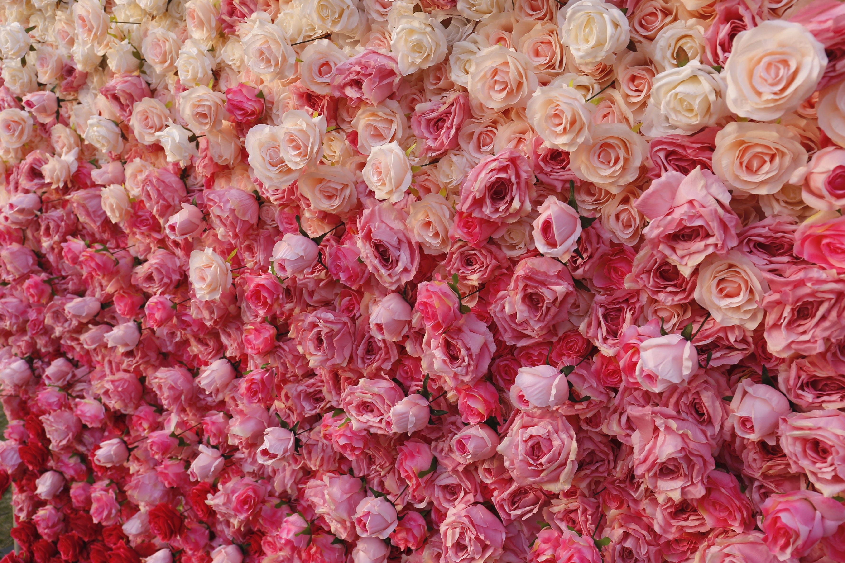 Gradient Pink White Fabric 5D Hanging Curtain Wedding Floral Wall ACFW-094