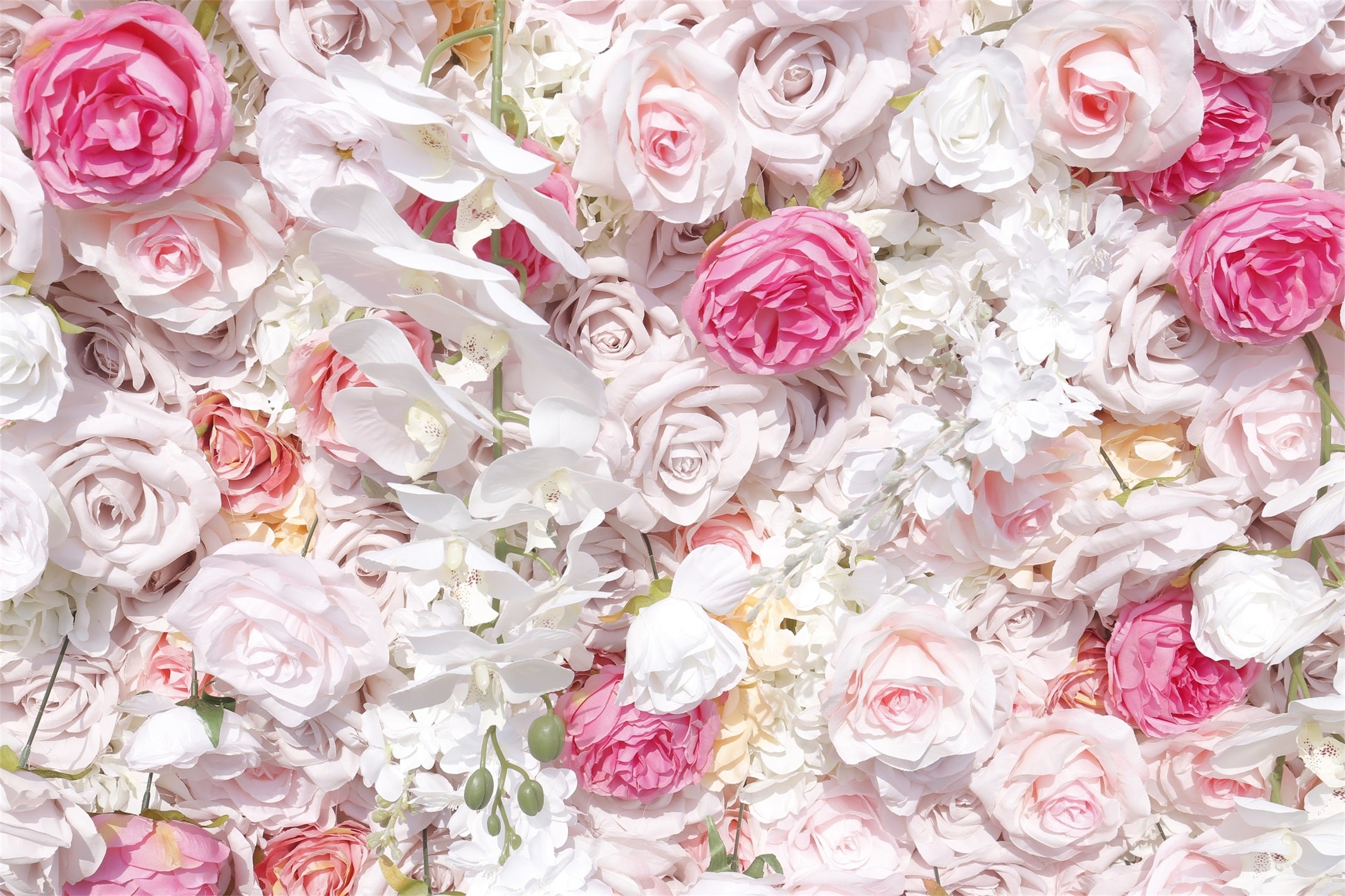 Blush Pink White Artificial Silk Roses 5D Hanging Flower Wall ACFW-108