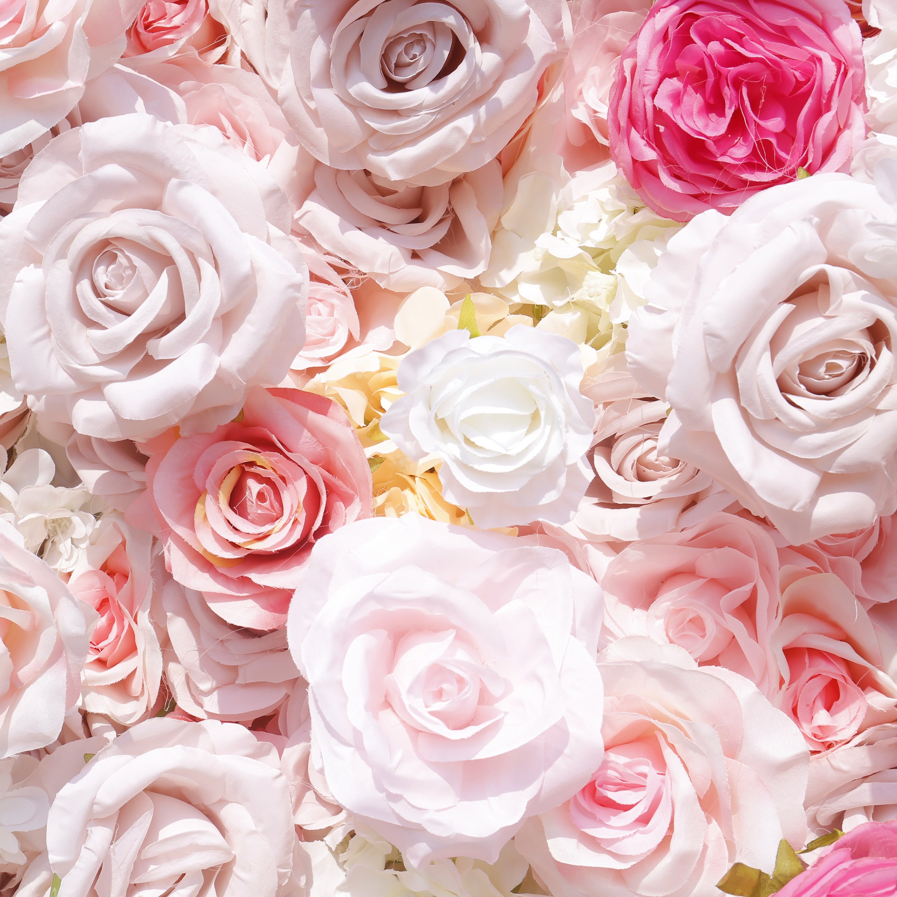 Blush Pink White Artificial Silk Roses 5D Hanging Flower Wall ACFW-108