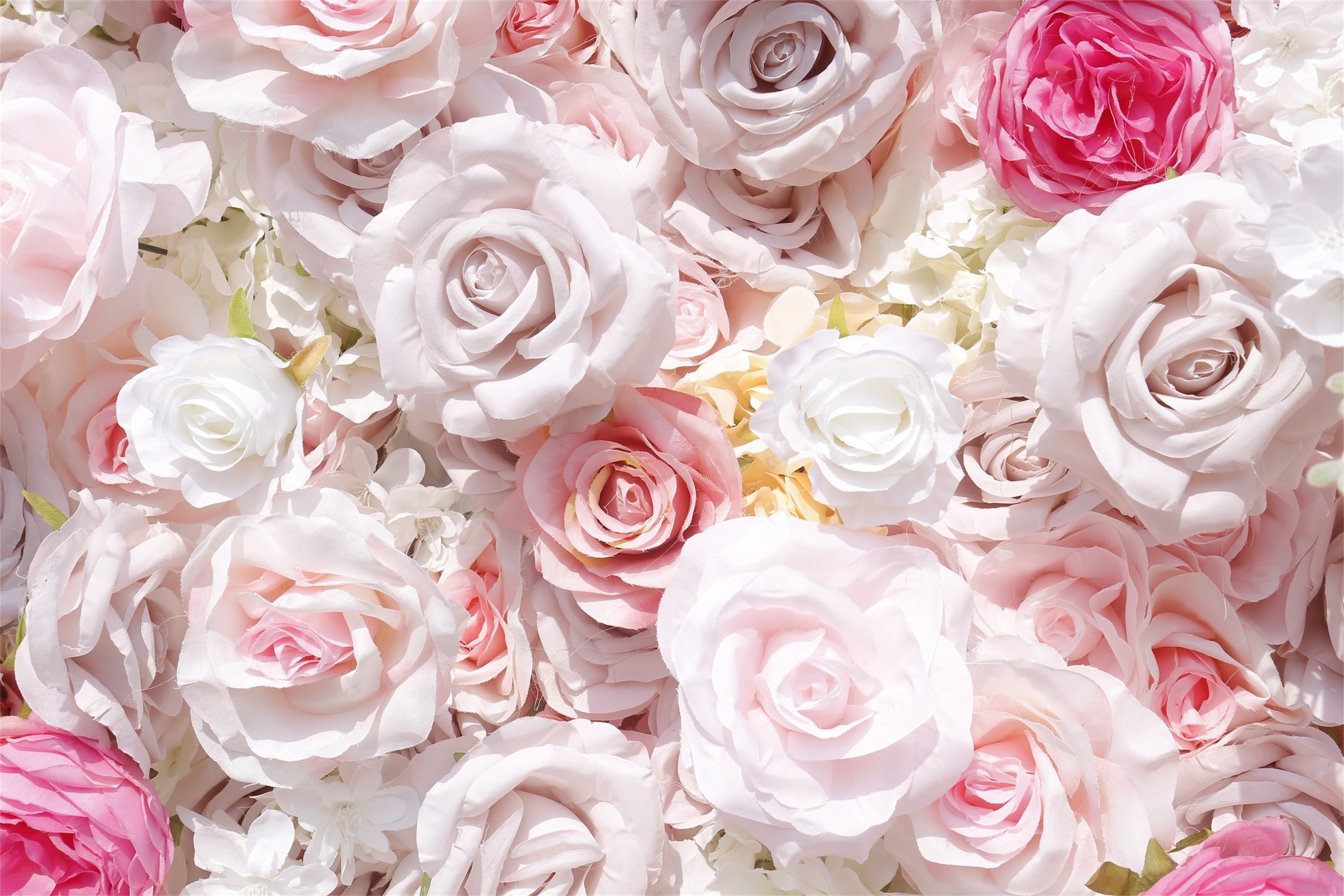 Blush Pink White Artificial Silk Roses 5D Hanging Flower Wall ACFW-108