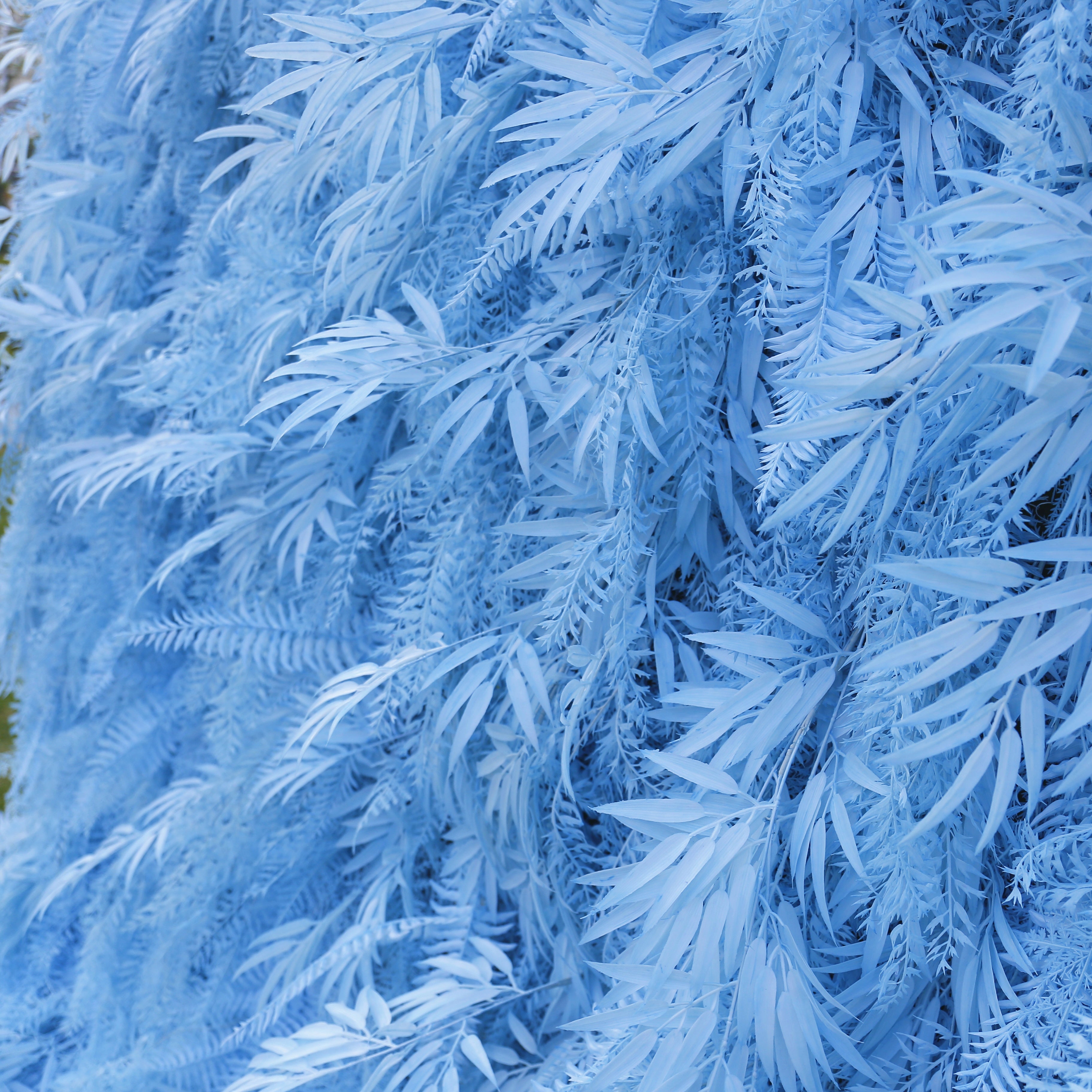 Artificial Pink Blue Pampas Wall Roll Up Hanging Backdrop Event Decor ACFW-111