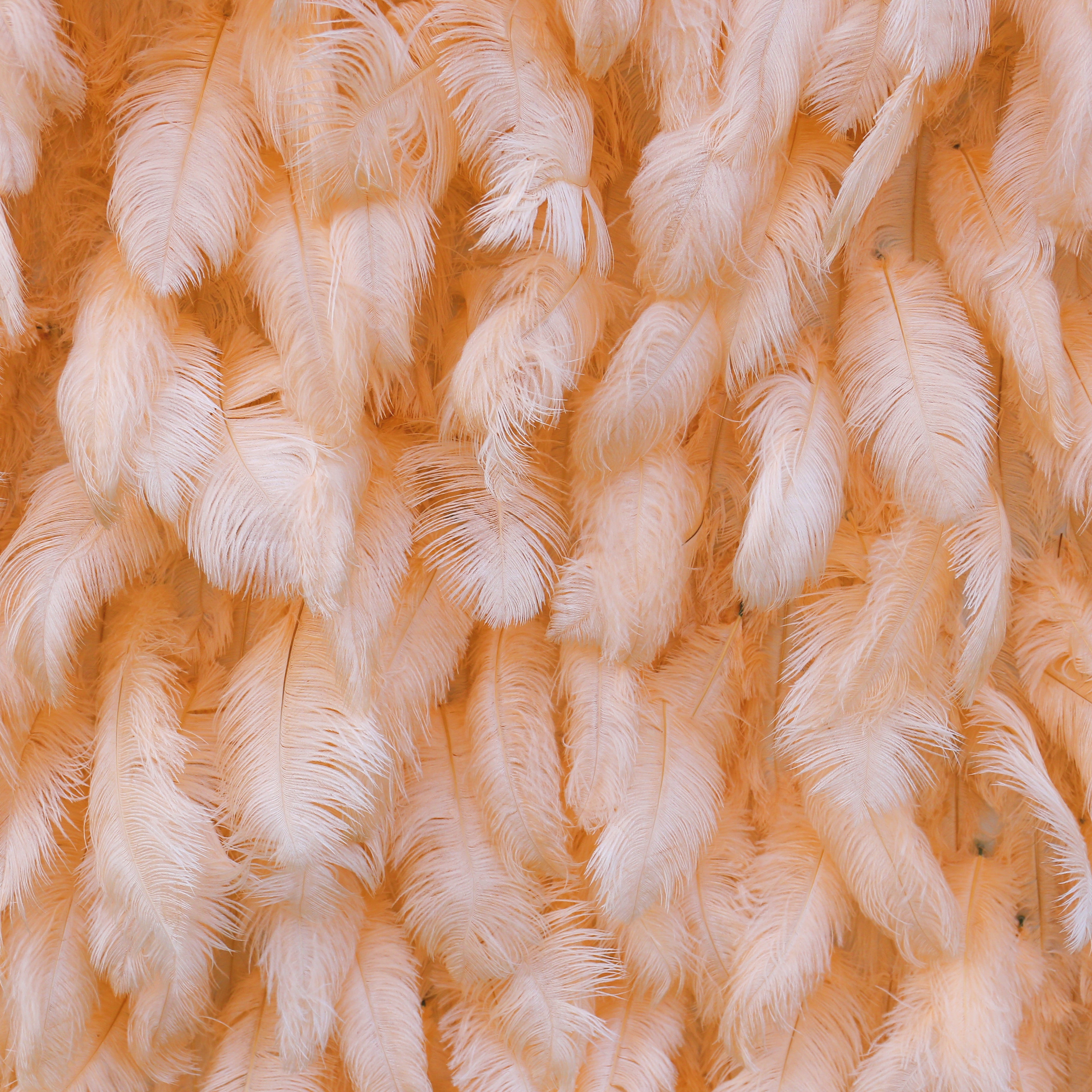 Pink Orange Artificial Feather Backdrop Flower Wall for Party Decor ACFW-116