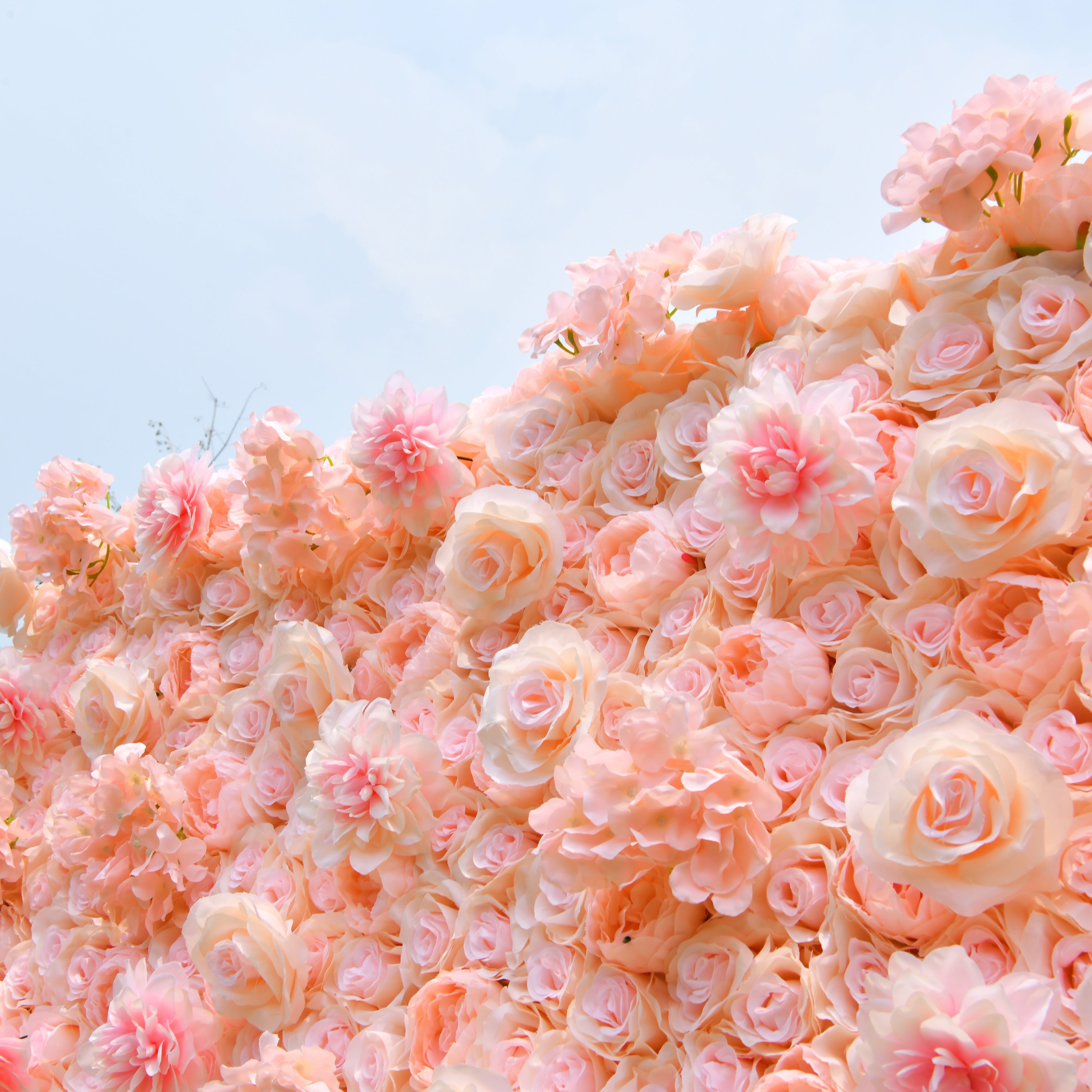 Silk Hydrangea Rose Pink 3D Artificial Flower Wall Backdrop ACFW-121