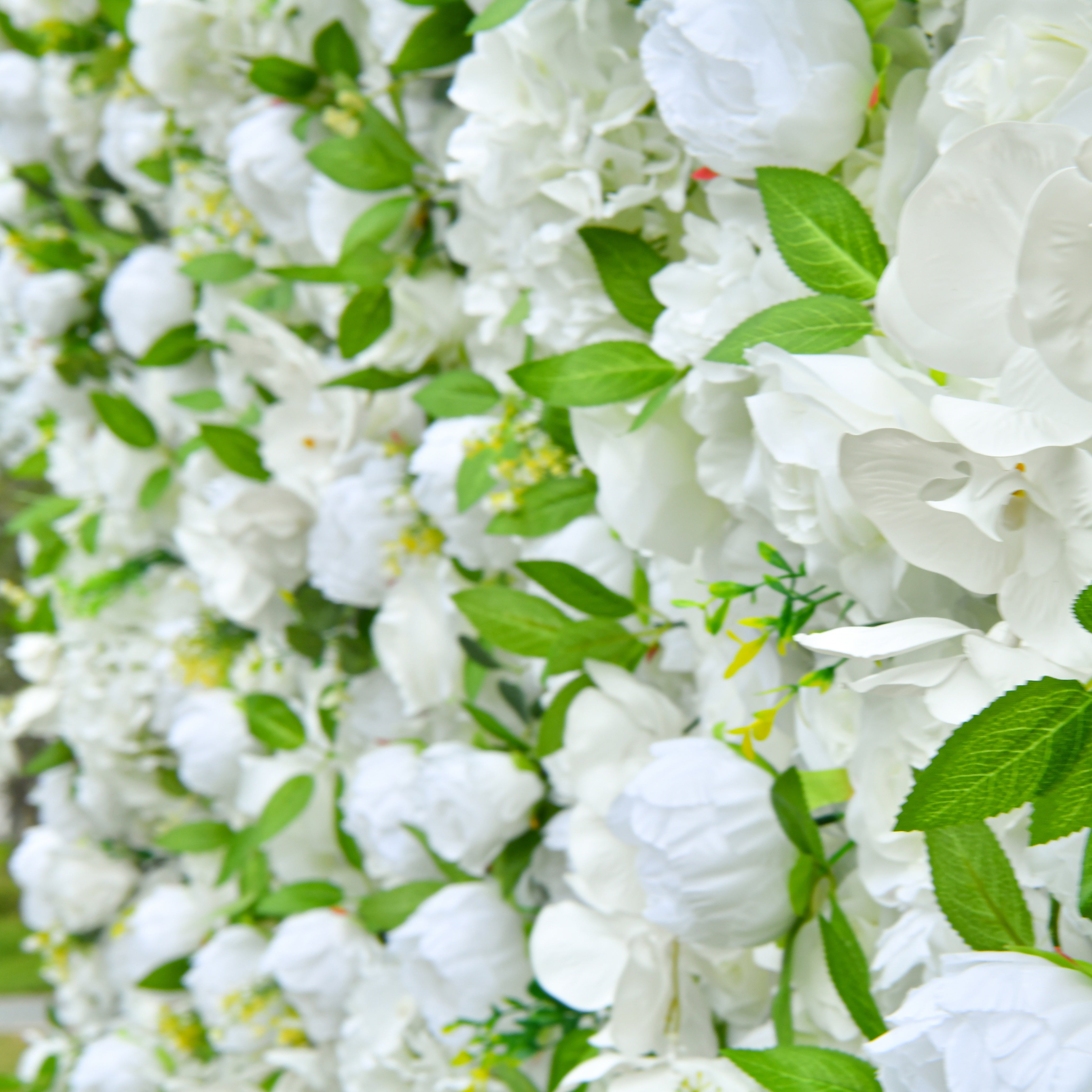 White Rose Green Forest Popular 5D Fabric Roll Up Flower Wall ACFW-122