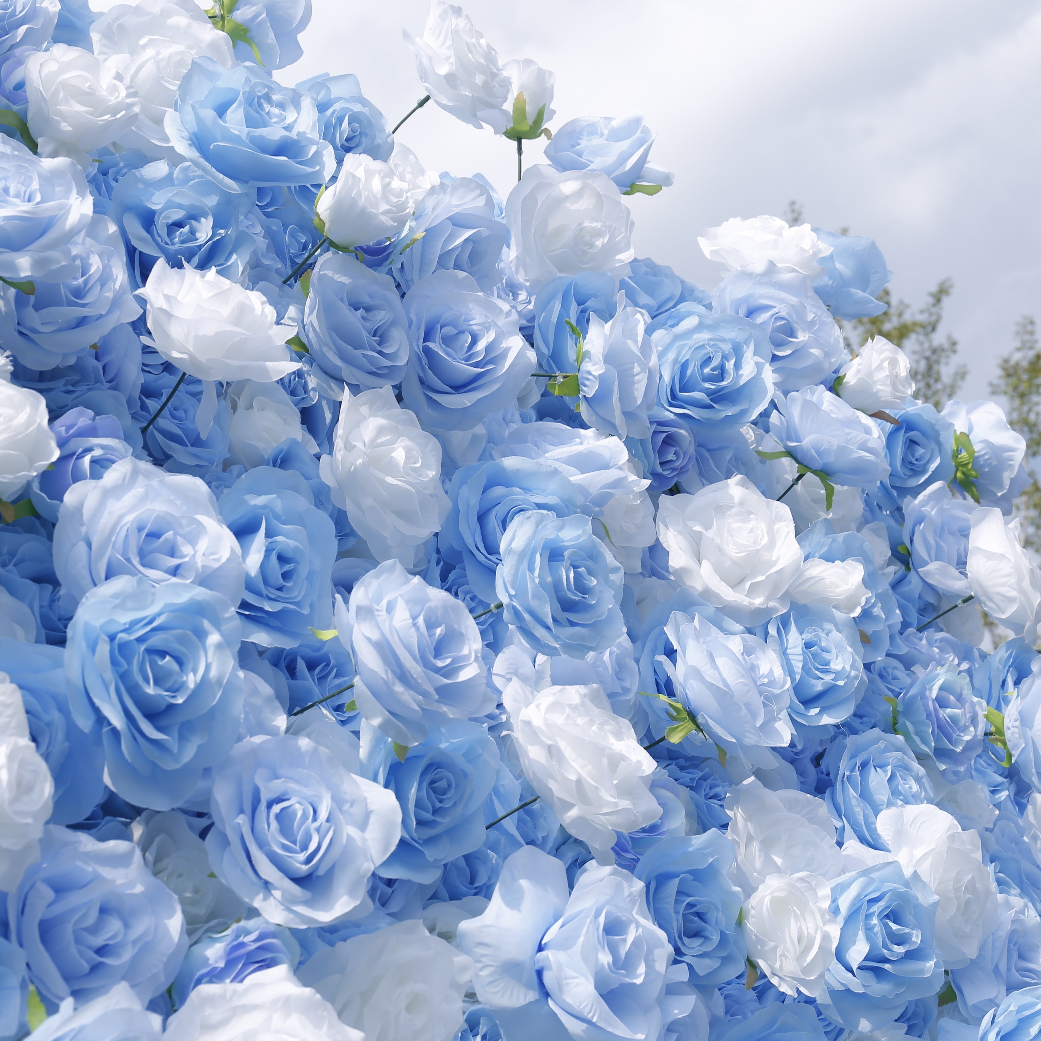 5D Blue & White Silk Roses Rolling Up Artificial Flower Wall Backdrop ACFW-123