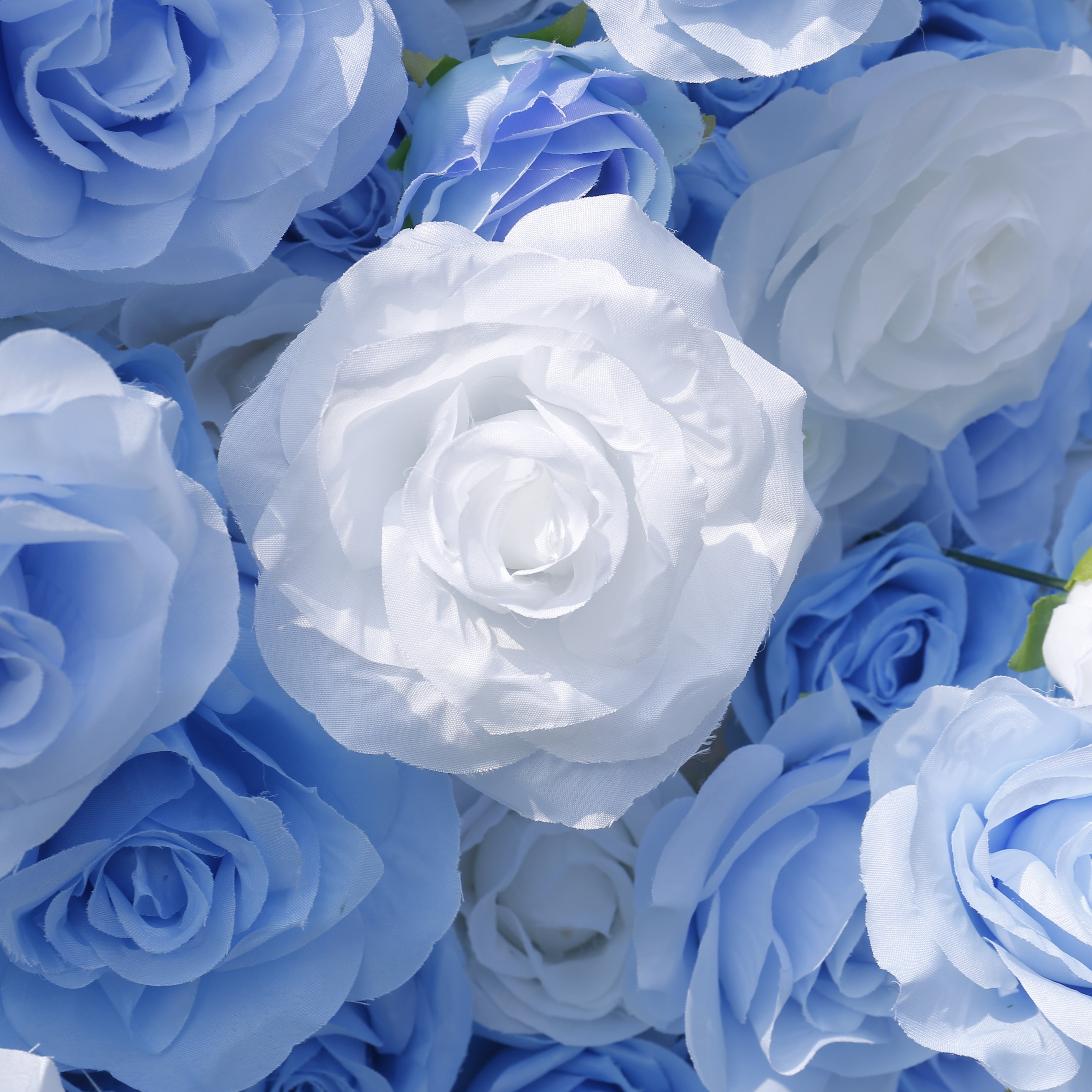 5D Blue & White Silk Roses Rolling Up Artificial Flower Wall Backdrop ACFW-123